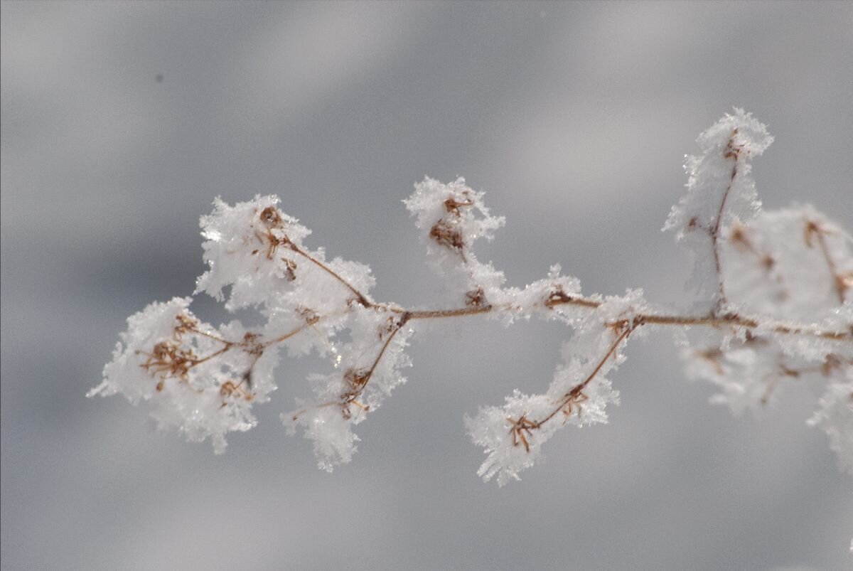 Dear Sangha - Please note, due to the severe cold weather, we will meet virtually only tonight 1/15 for our Monday Program 6:00-7:30pm. Dharma Holder Geoff Shōun O'Keeffe will offer a talk and lead our zazen and discussion. All are welcome. 🙏

The l