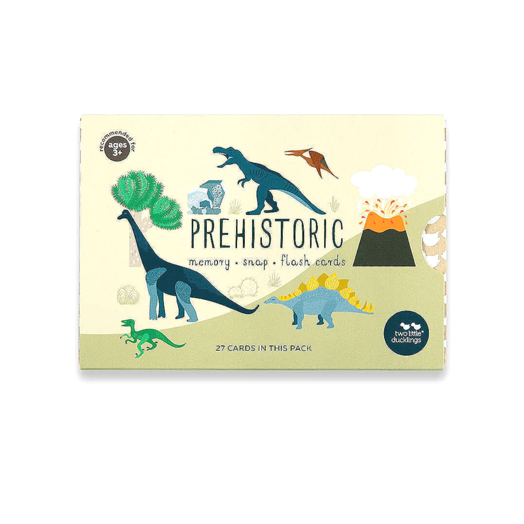Prehistoric Snap & Memory Cards