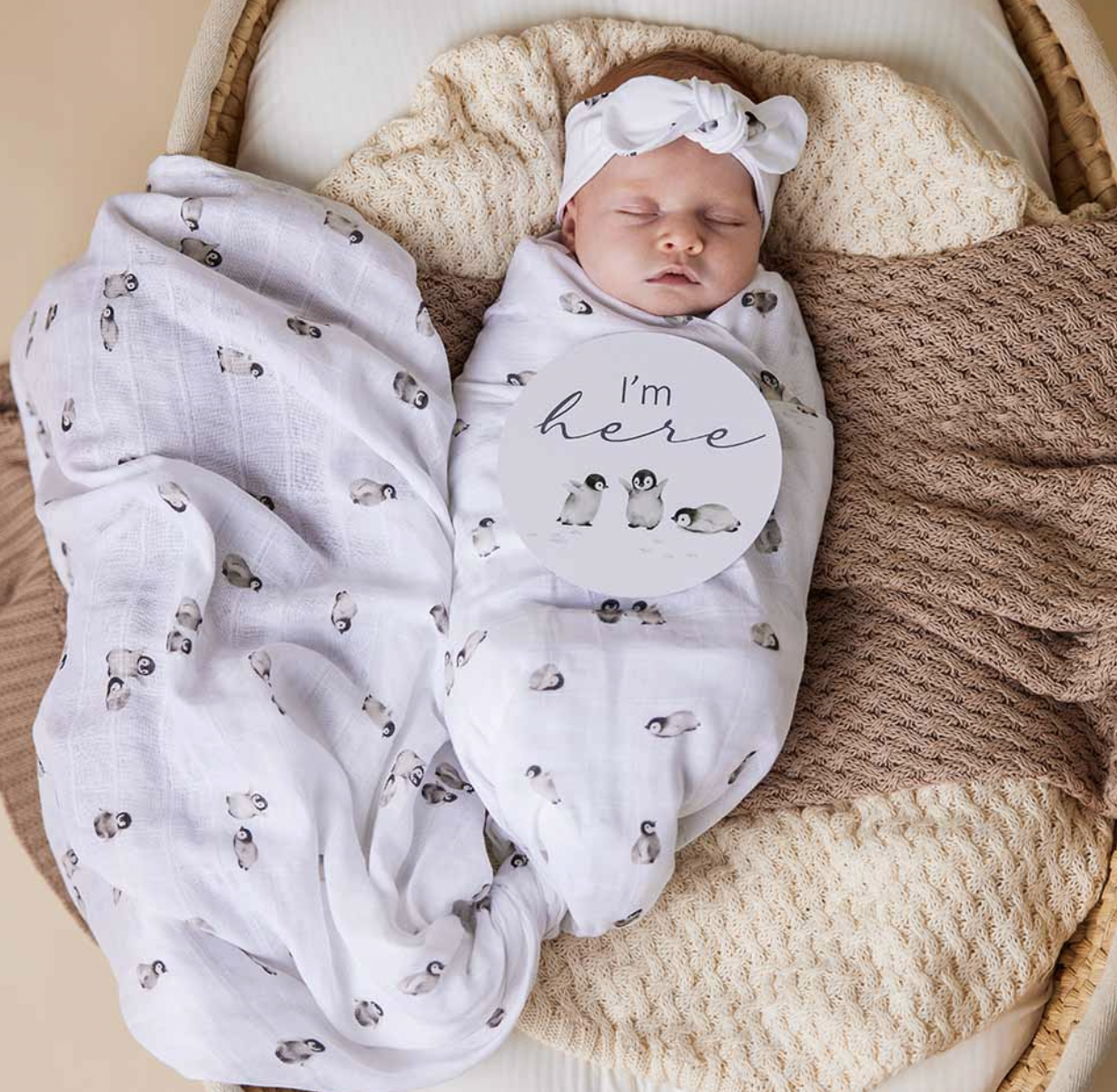 Screen Shot 2026-04-13 at 10.20.03 pm.png