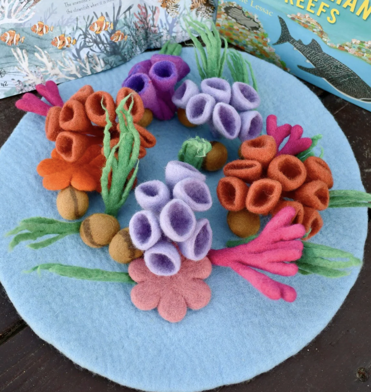 Tara Treasures - Coral Reef Playscape