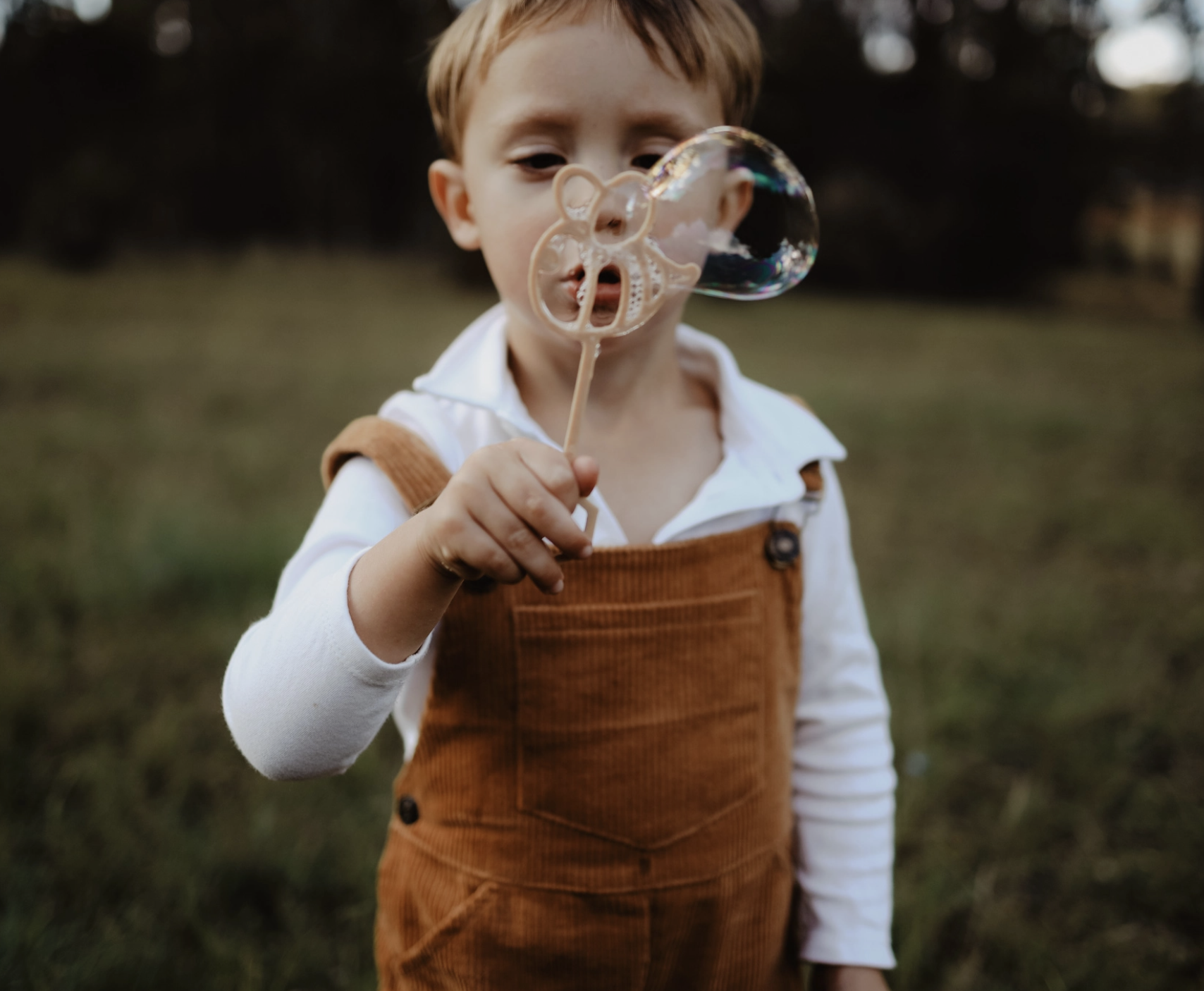 Screen Shot 2026-01-25 at 6.53.50 pm.png