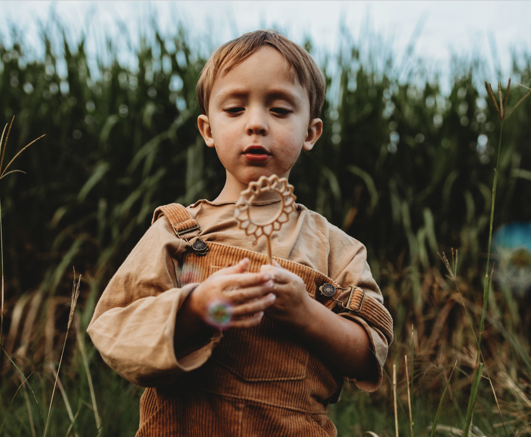 Screen Shot 2026-01-25 at 9.44.39 pm.png