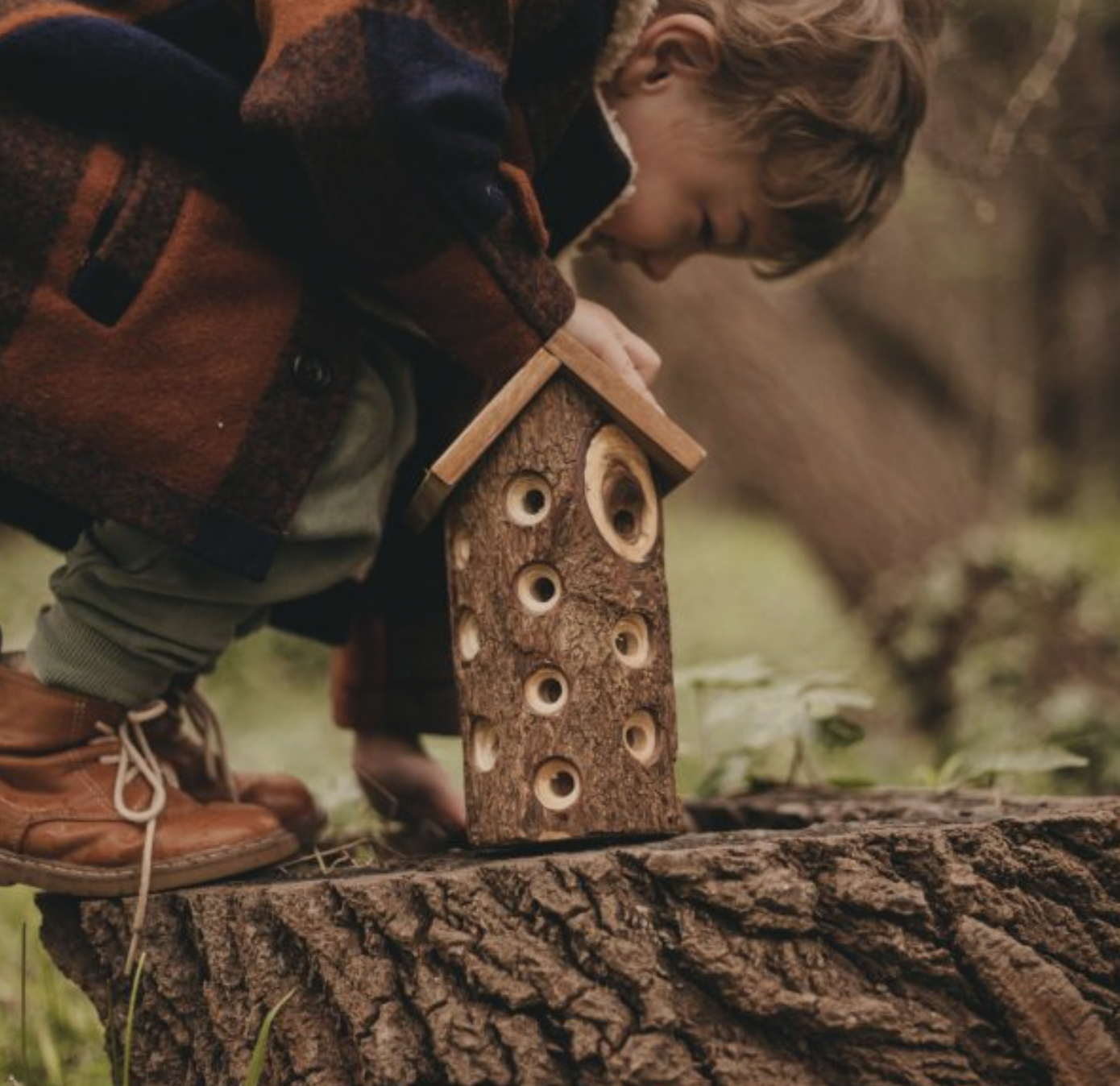 Screen Shot 2026-01-26 at 10.25.23 pm.png