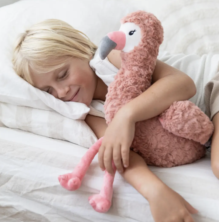 Screen Shot 2026-01-26 at 12.22.38 am.png