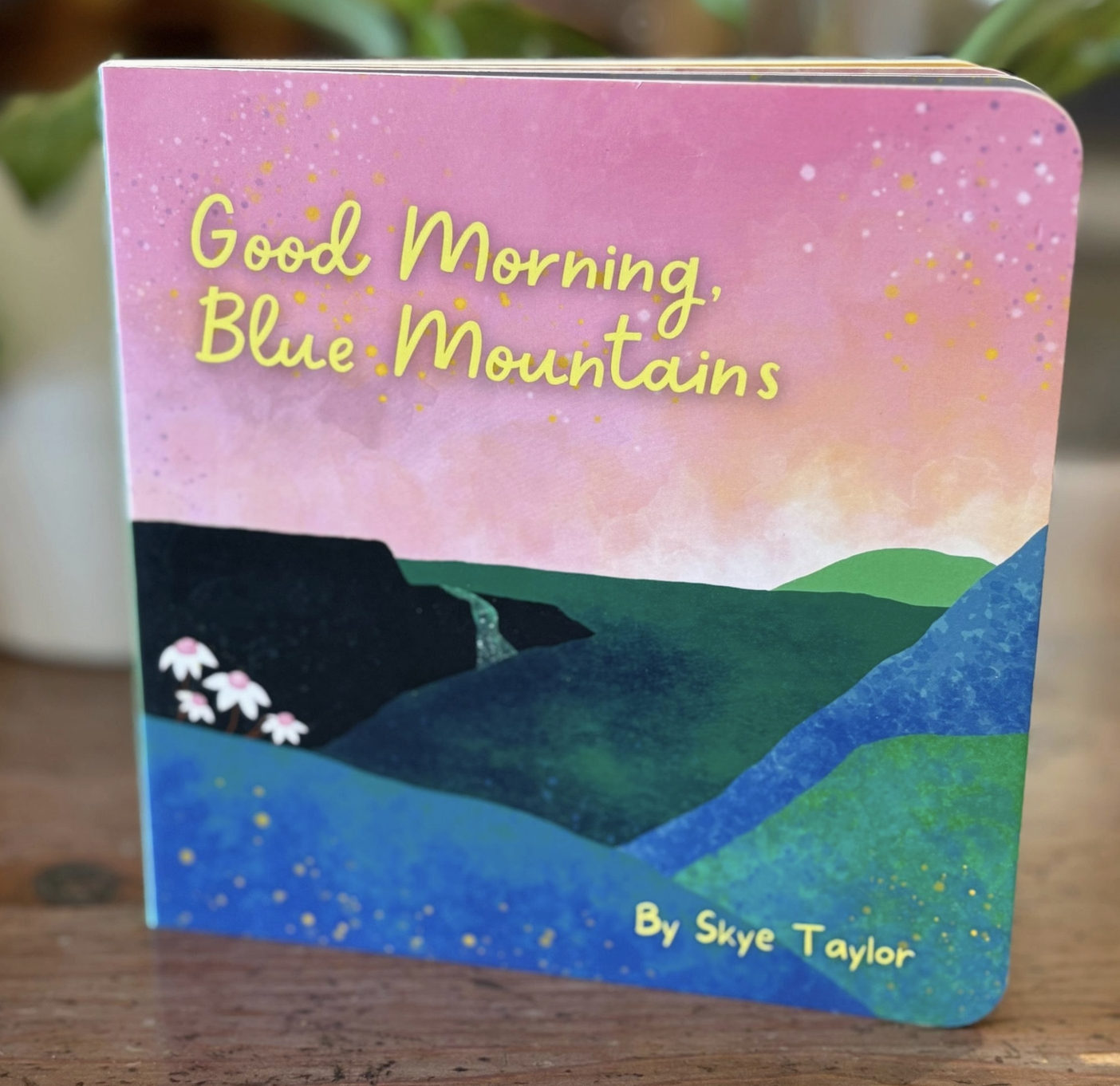 Screen Shot 2026-01-25 at 10.06.12 pm.png