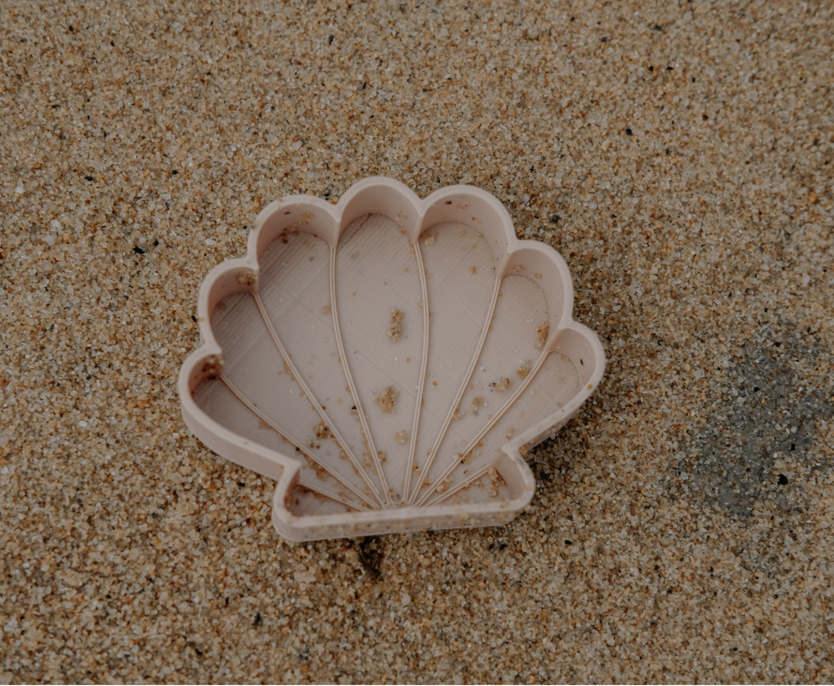 Sensory Sea Shell Eco Mould
