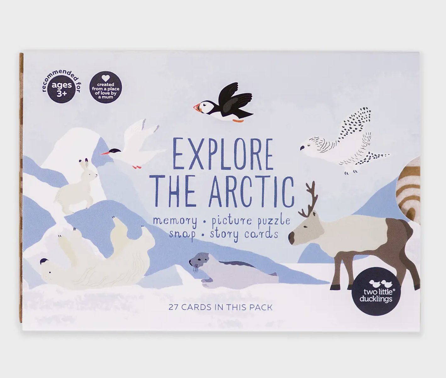 Explore the Arctic Snap and Memory Game