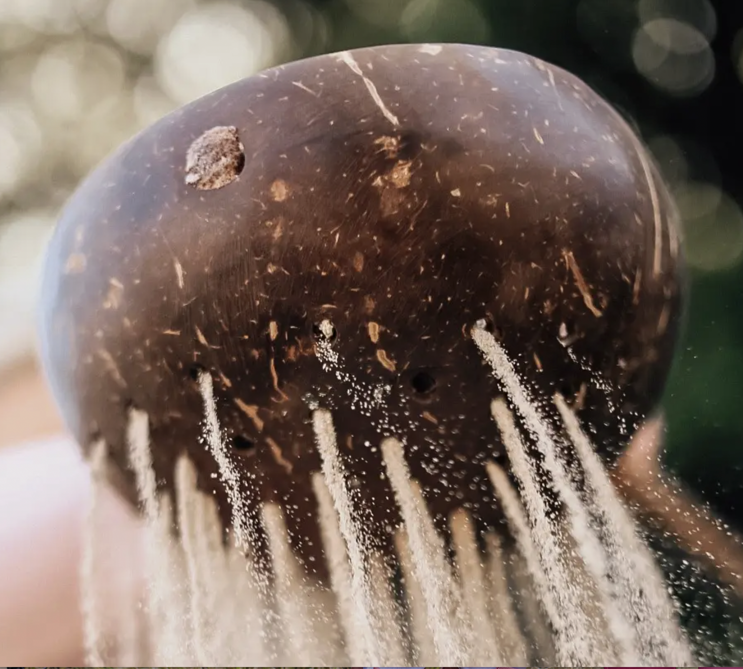 Coconut Shell Sand Scoop