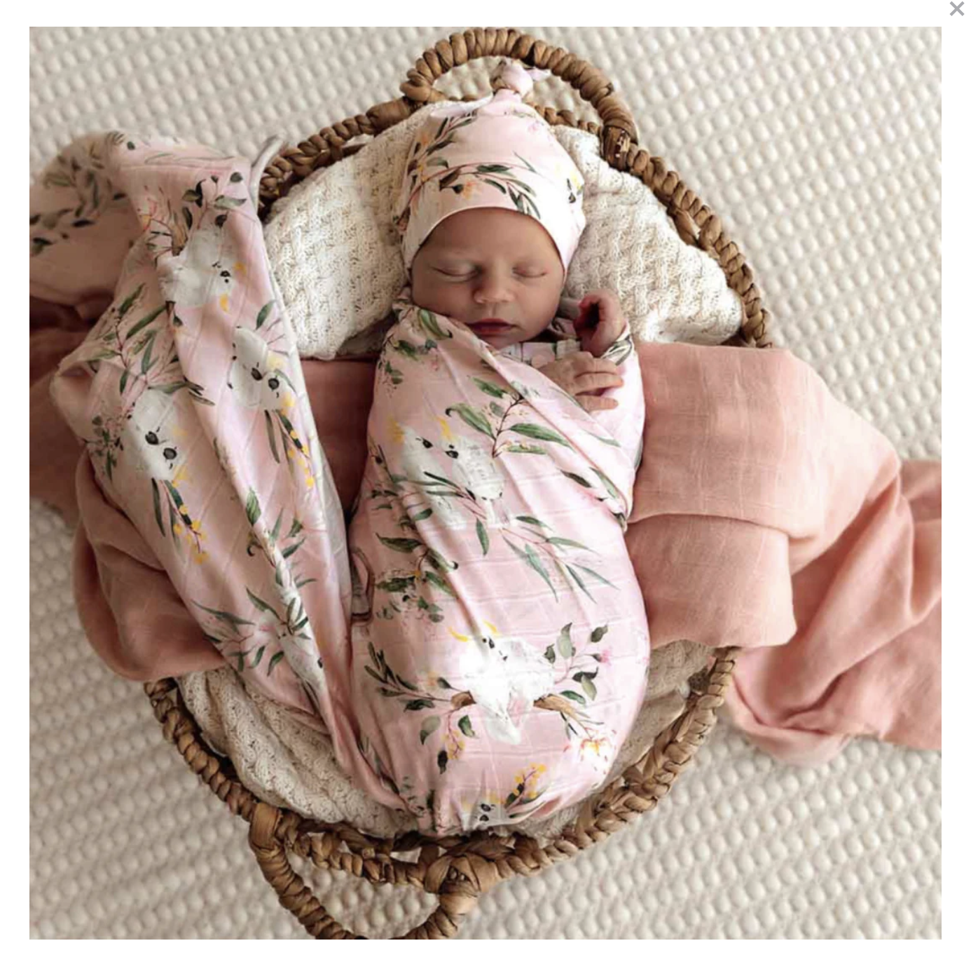 Screen Shot 2026-04-13 at 4.46.51 pm.png