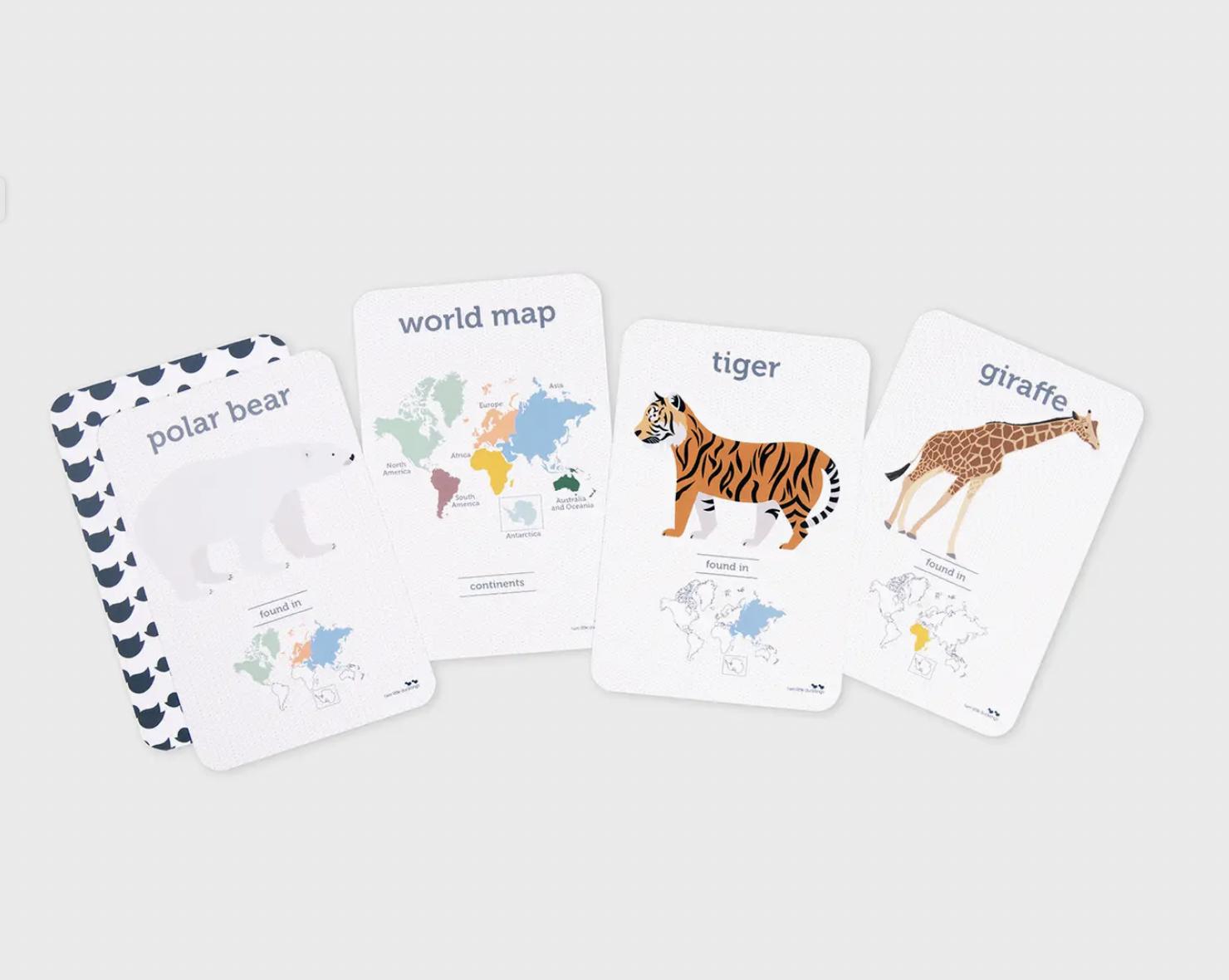 Screen Shot 2026-01-25 at 10.50.06 pm.png