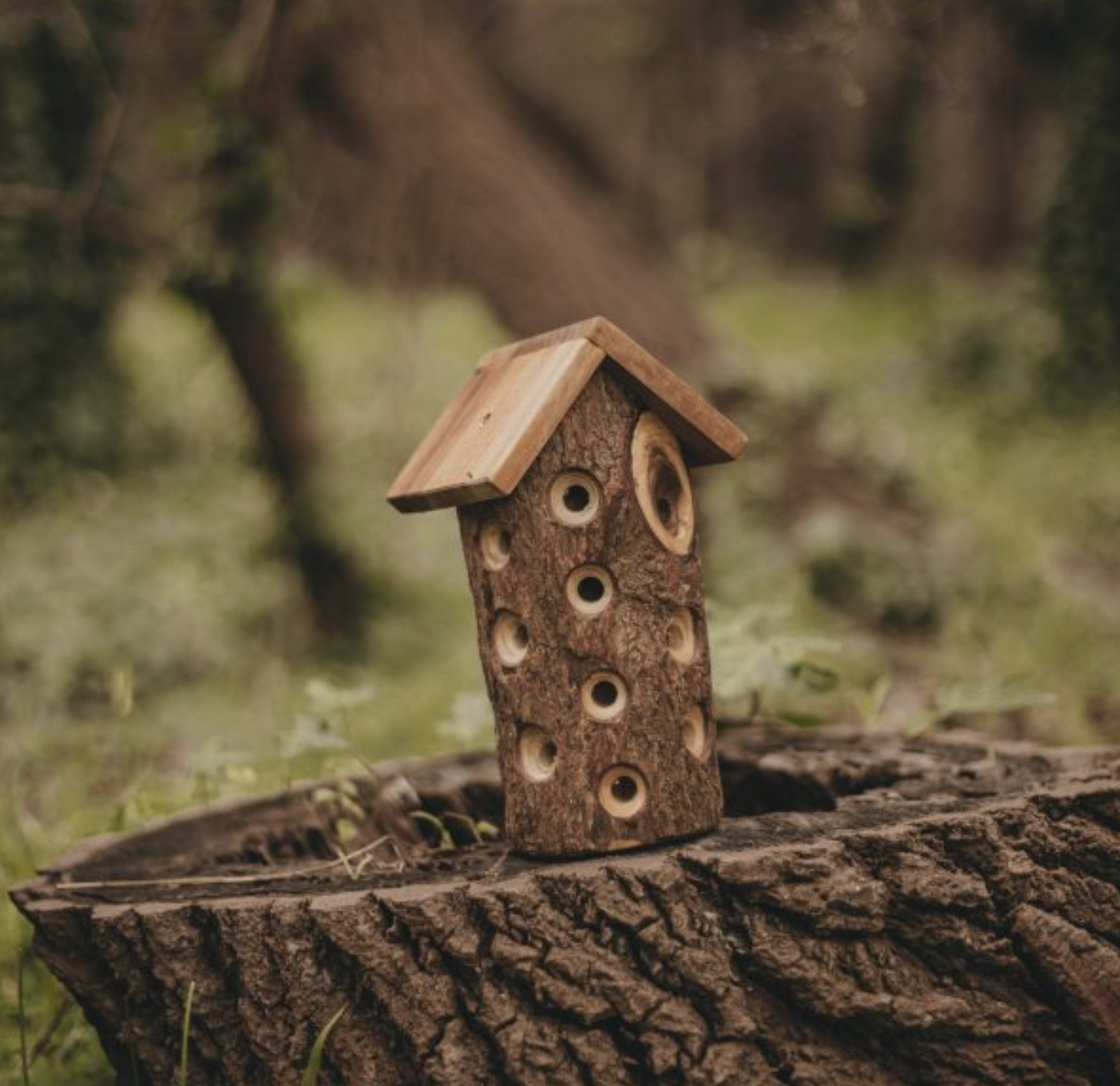 Screen Shot 2026-01-26 at 10.25.36 pm.png