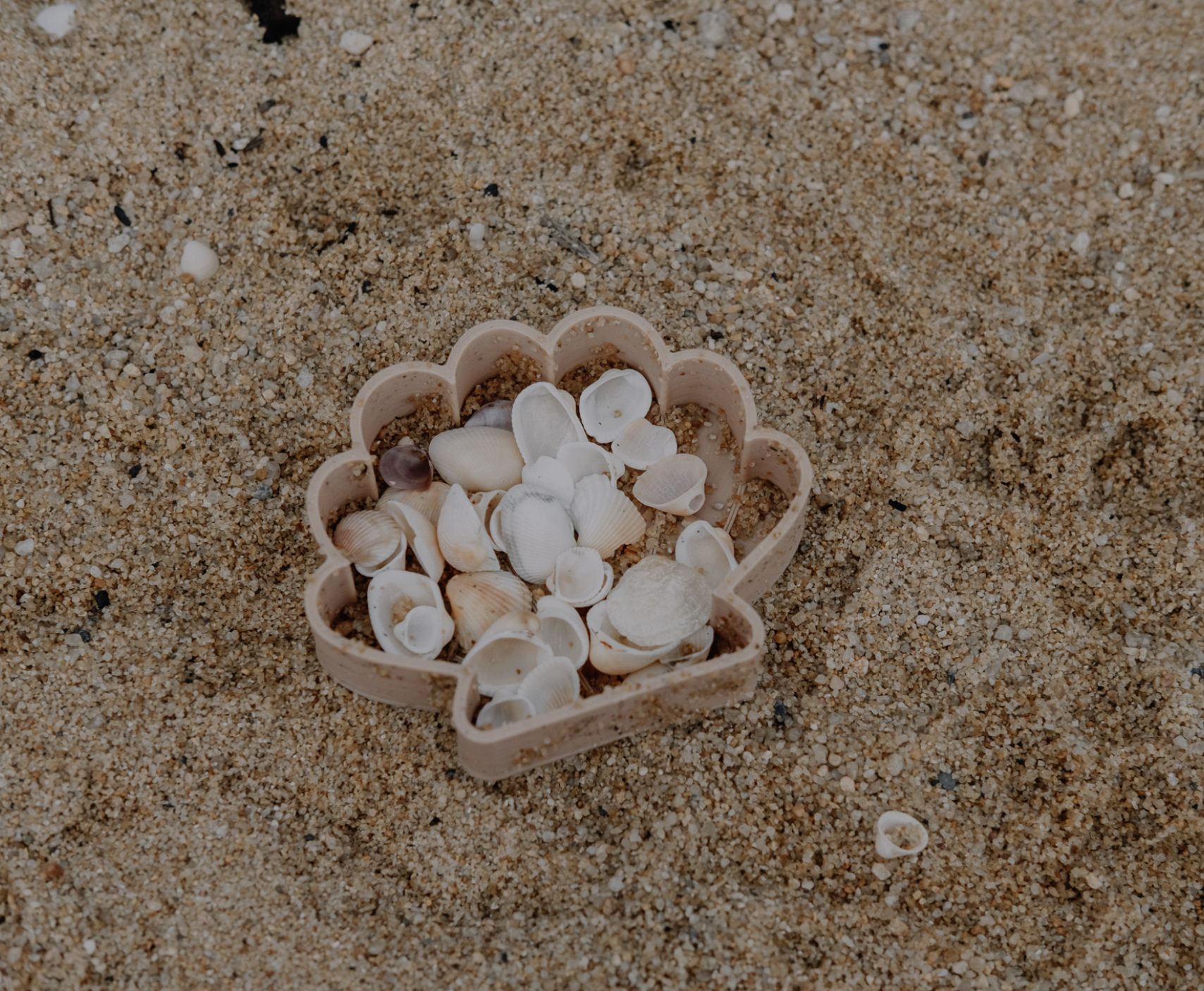 Screen Shot 2026-01-25 at 9.37.22 pm.png