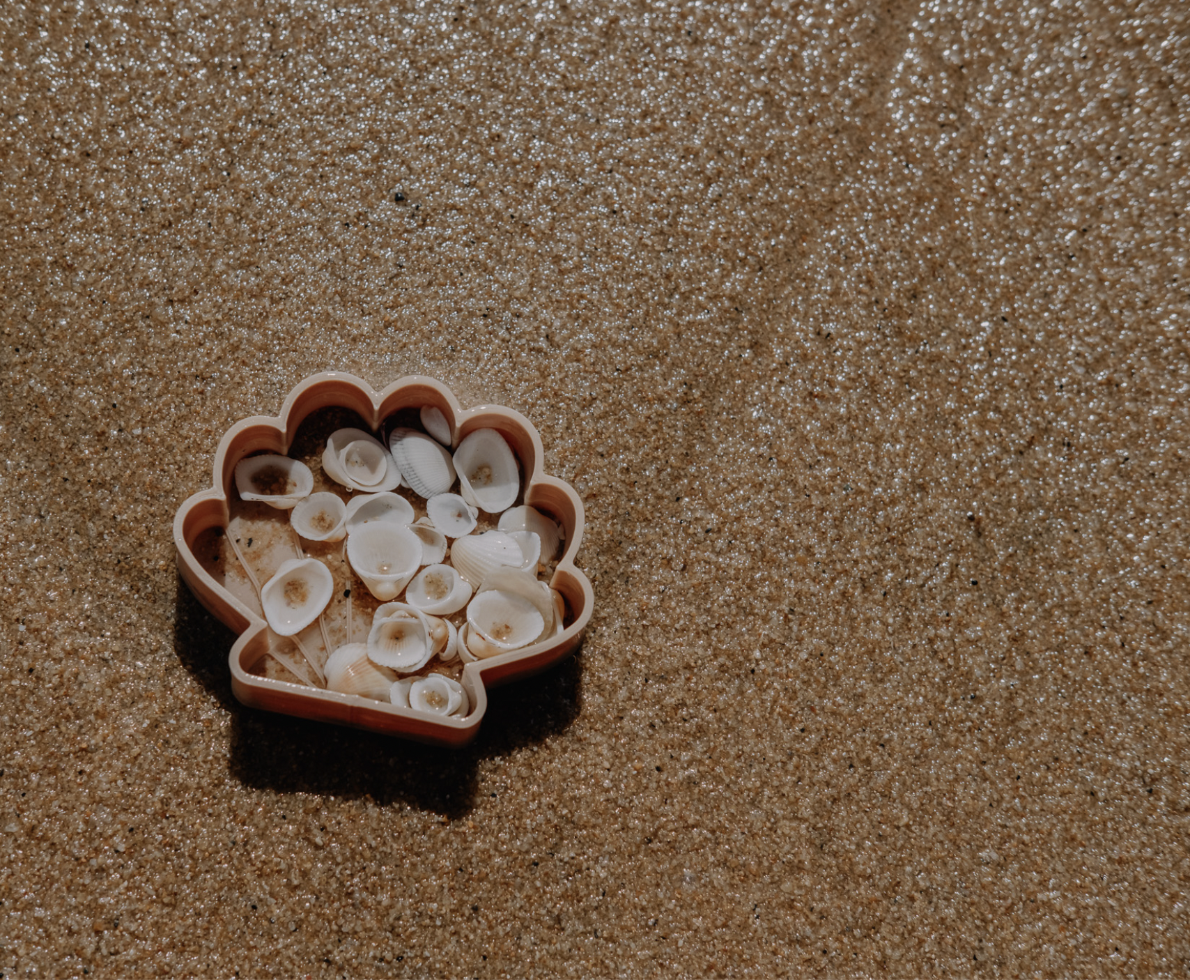 Screen Shot 2026-01-25 at 9.37.41 pm.png