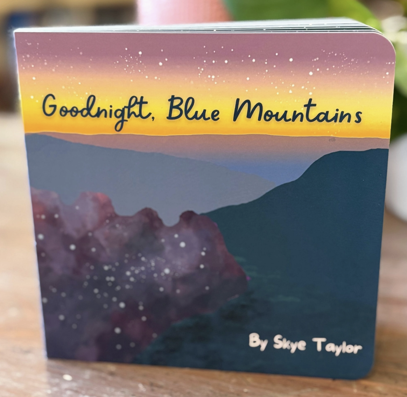 Screen Shot 2026-01-25 at 10.09.11 pm.png