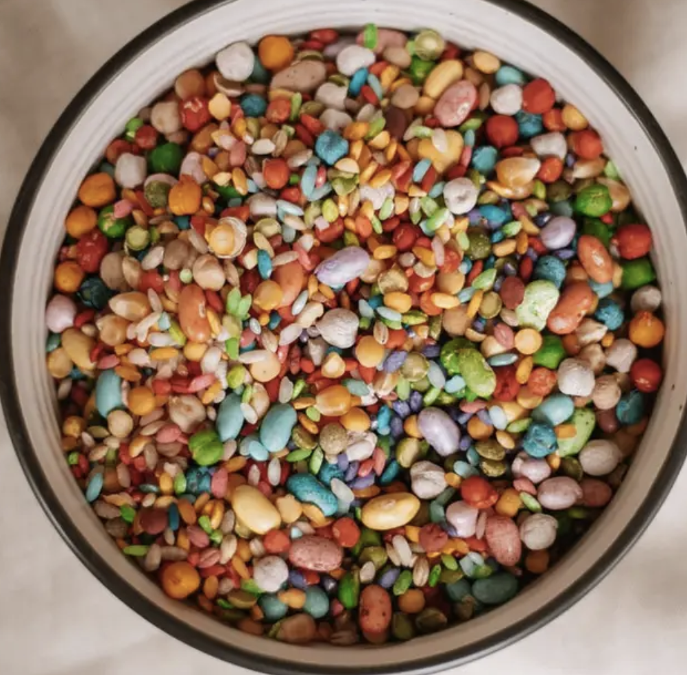 Saltwater Collective Coral Reef Sensory Mix