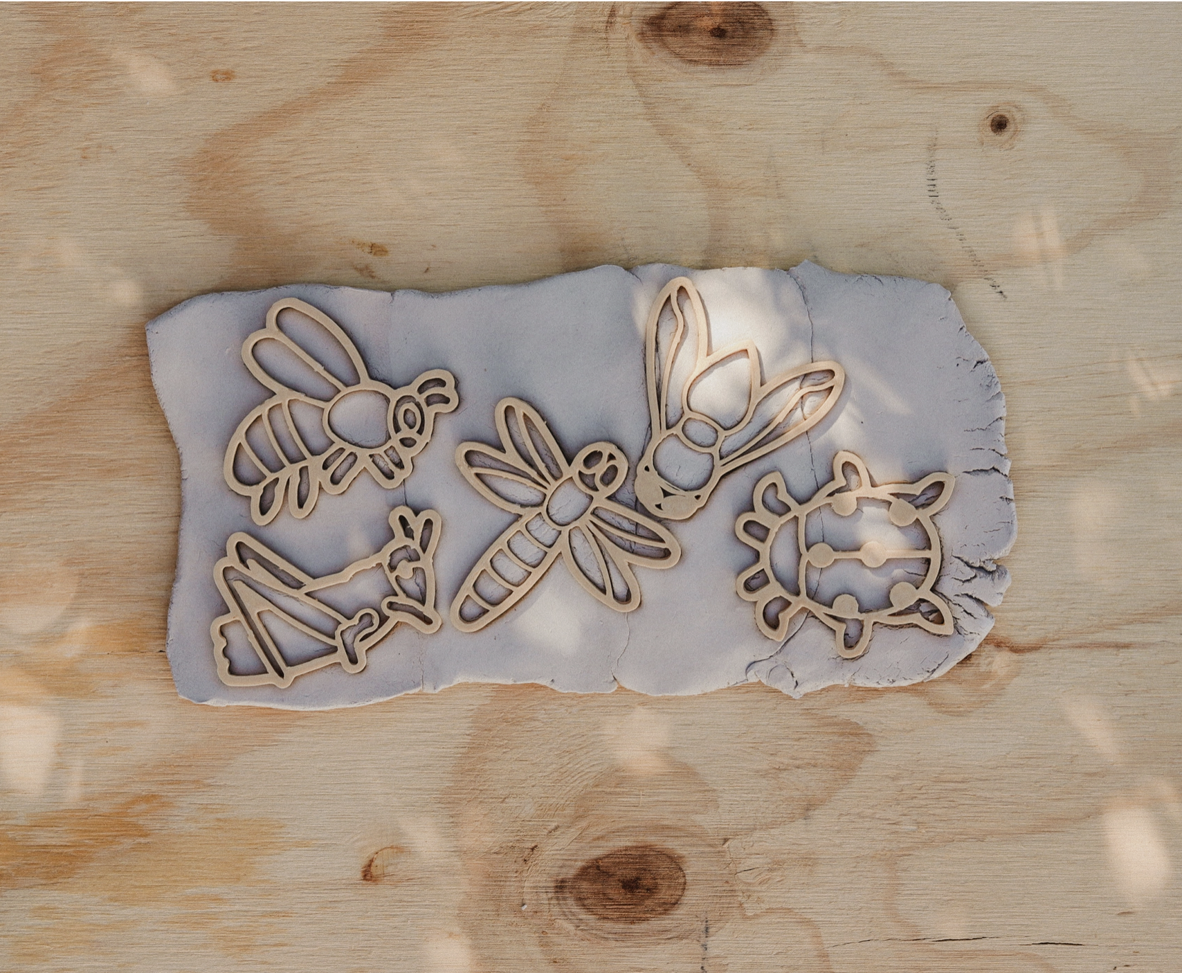 Insect Eco Cutter Set