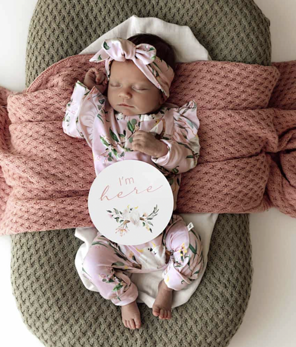 Screen Shot 2026-04-13 at 4.43.19 pm.png