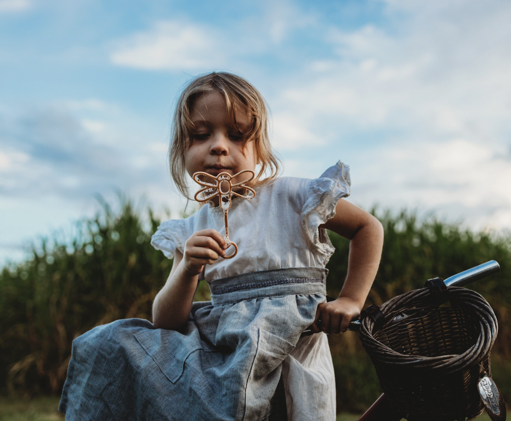 Screen Shot 2026-01-25 at 7.07.39 pm.png