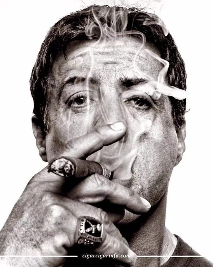 Slys favorite cigar is the Arturo Fuente #OpusX. Whats your favorite cigar? 

#cigarlifestyle #cigarnight #cigars #cigar #cigarentrepreneur #cigarlife #cigarworld #cigarlovers #smokecigarswithstyle #smokelife #thetorchedleaf