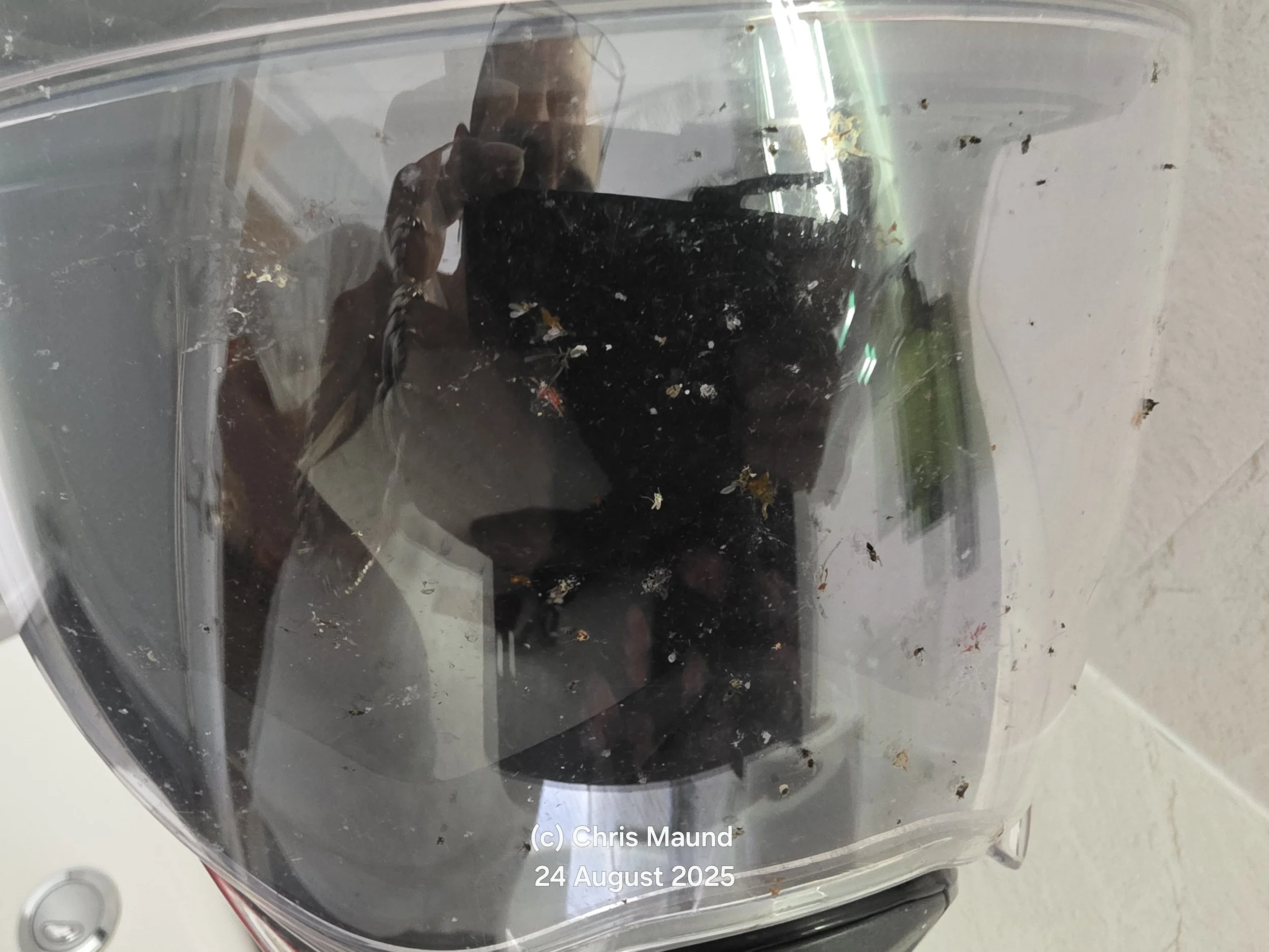 DAY 6 - Dead Flies and A Little Bimble Around The Cotswolds