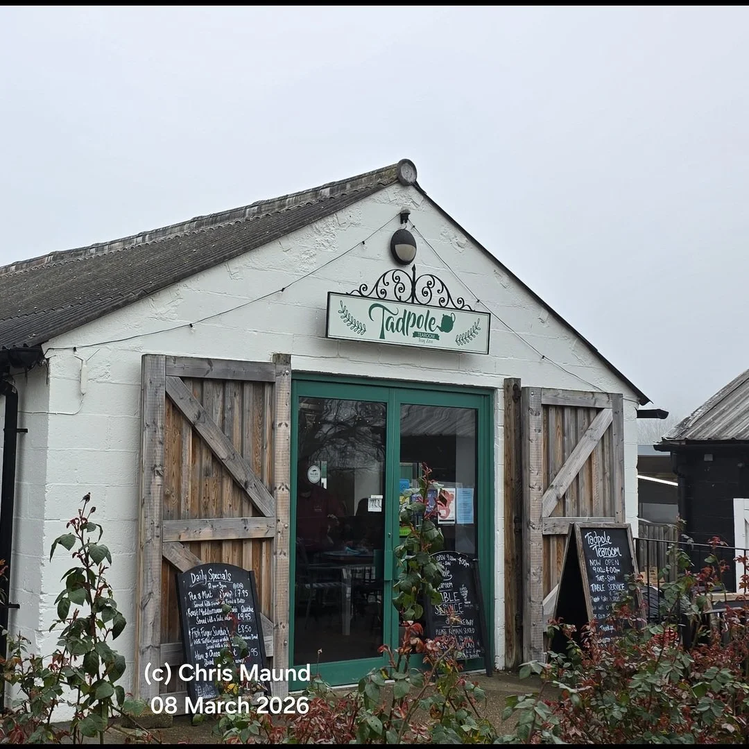 ChatGPT Image Mar 8, 2026, 04_56_26 PM-14.jpg