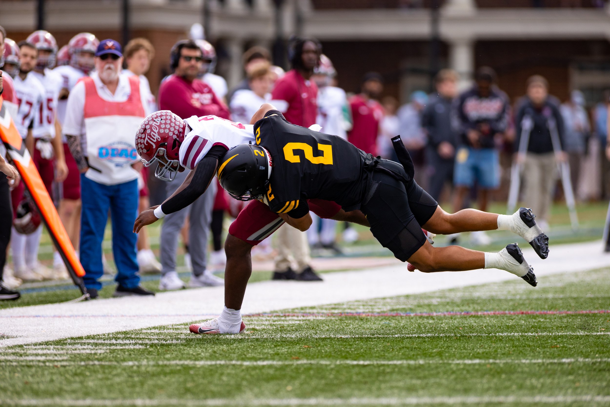 20251115 - Reflected Visions - 020.jpg