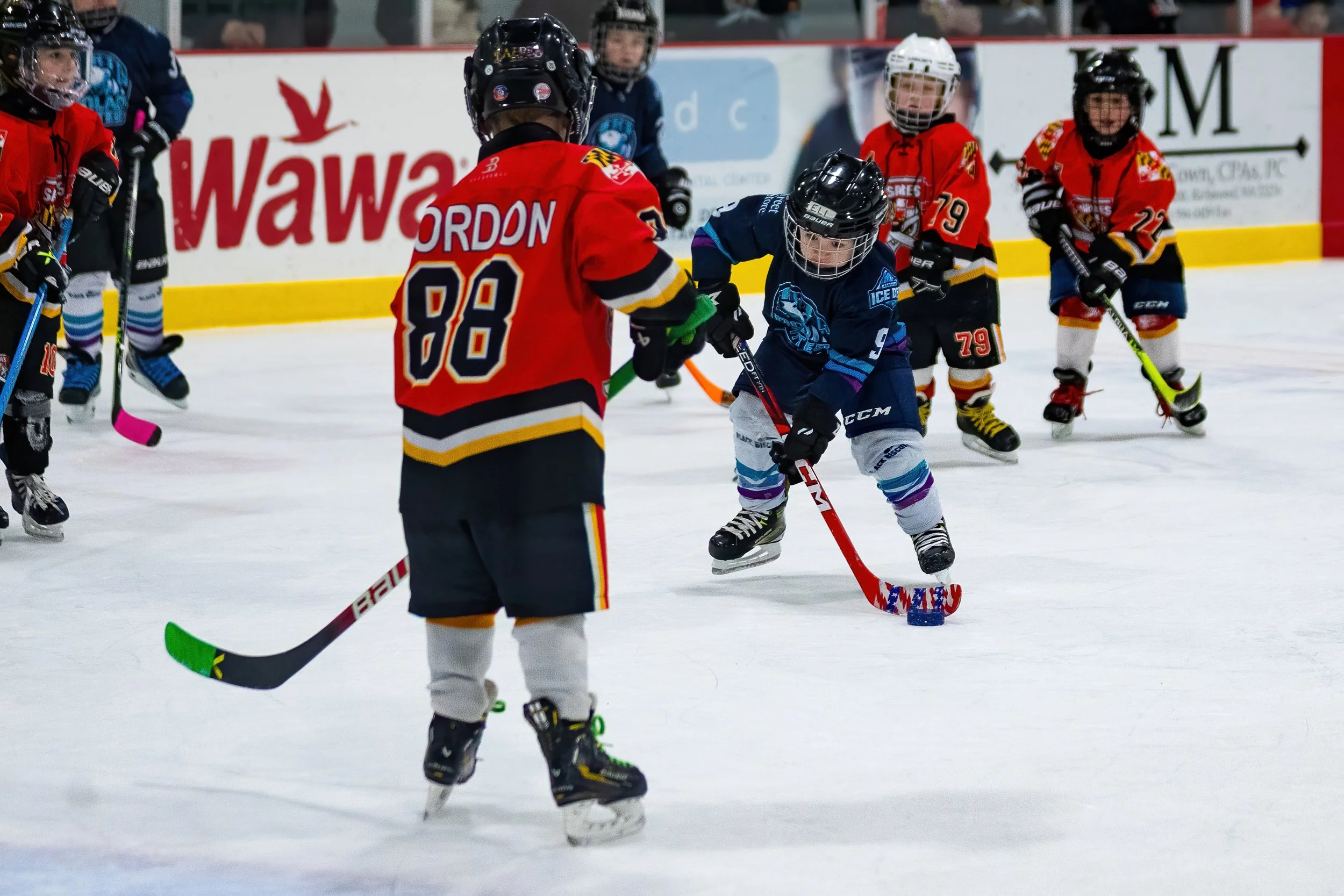 20250209 - Reflected Visions - 161.jpg