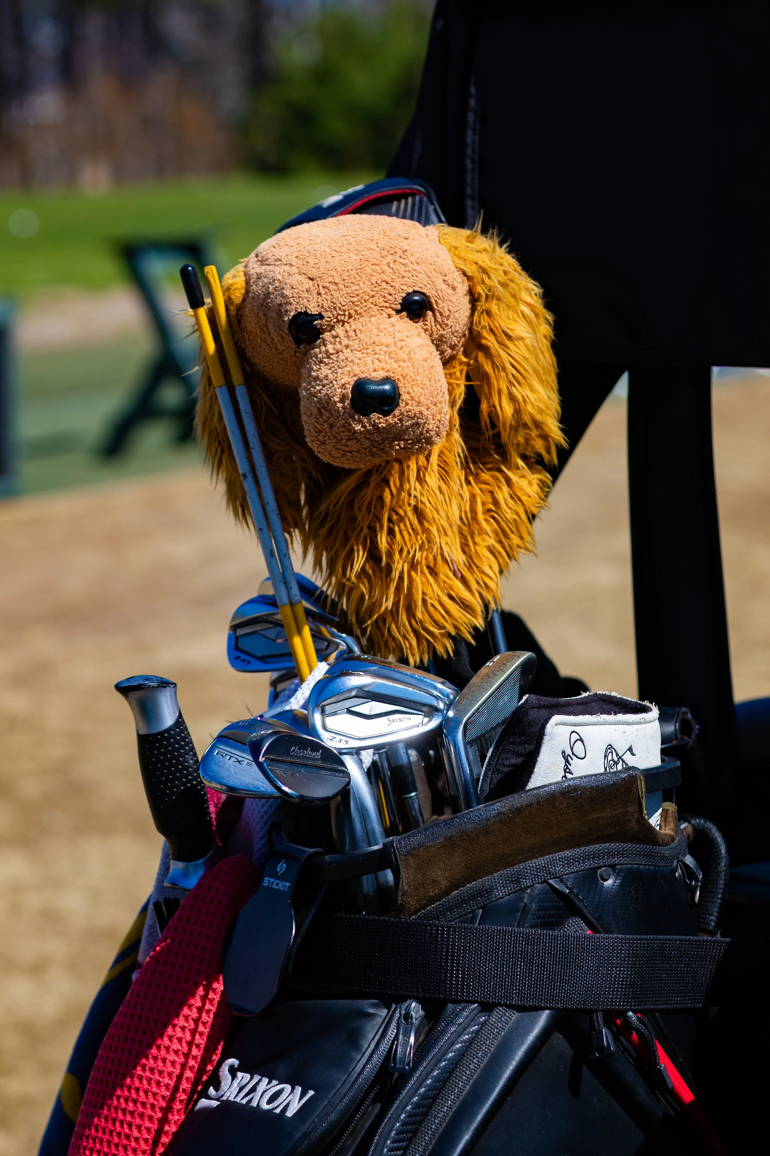 20260320 - Reflected Visions - 048.jpg