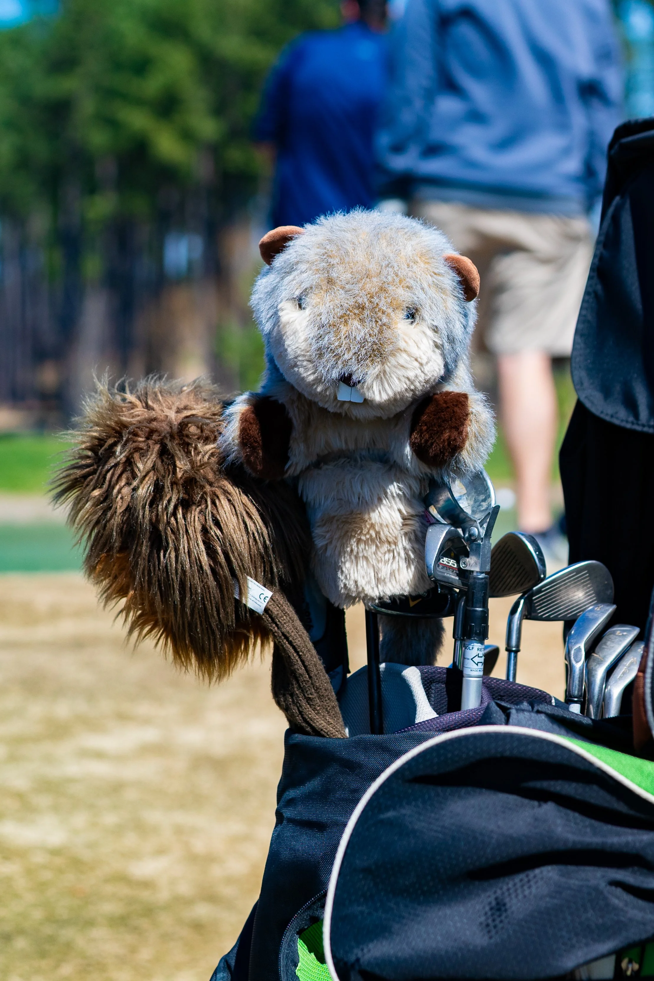 20260320 - Reflected Visions - 040.jpg