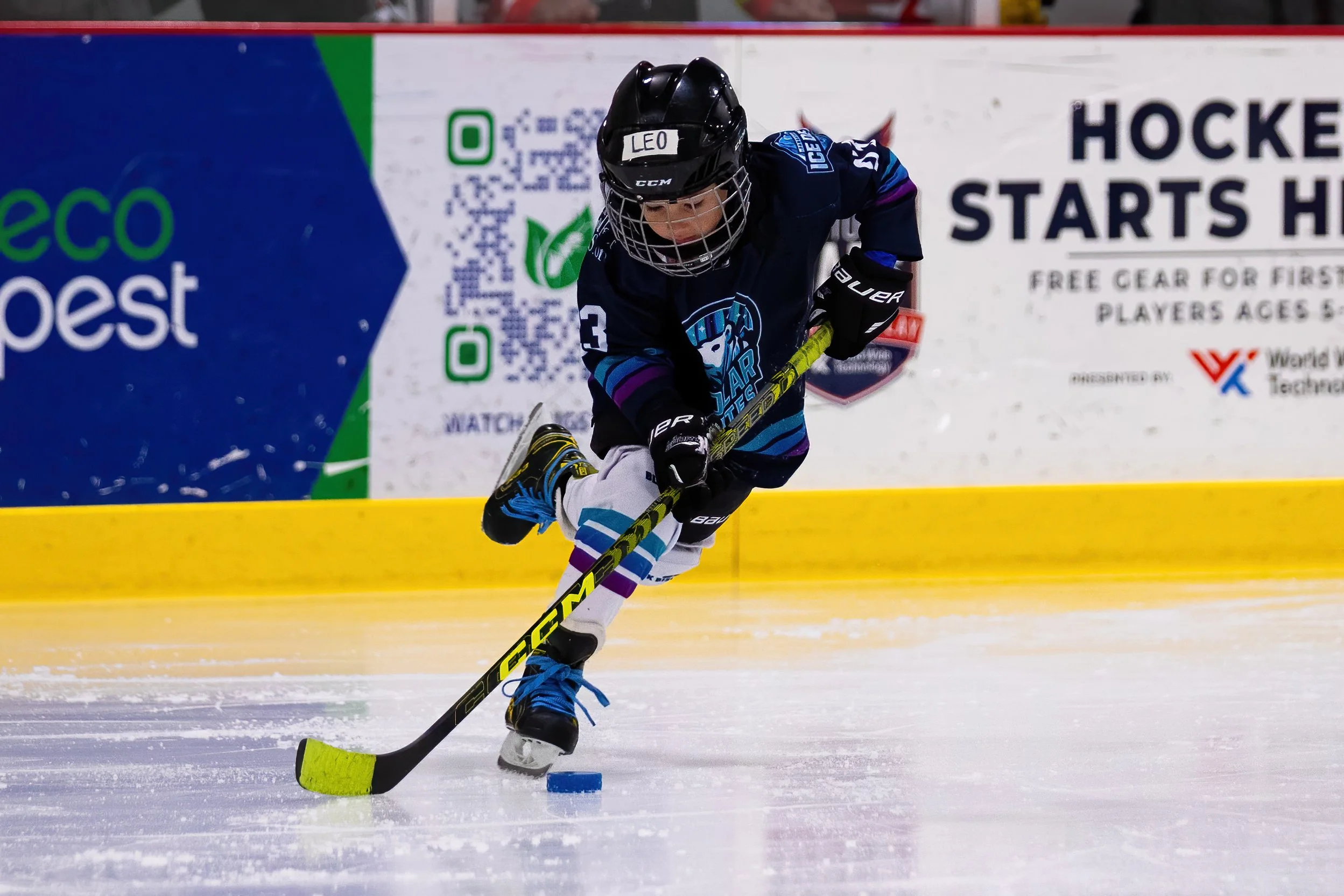 20250209 - Reflected Visions - 039.jpg