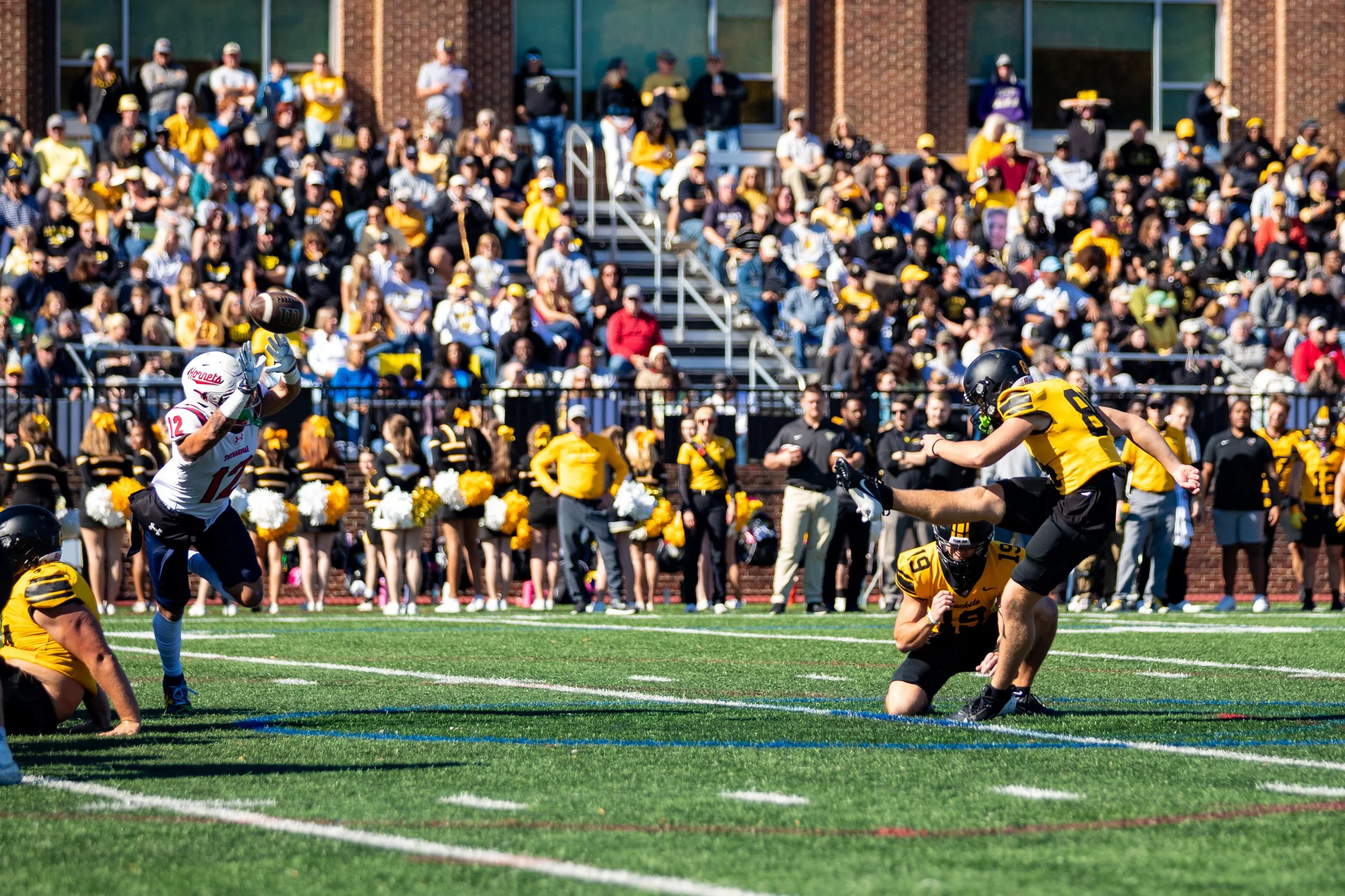 20251101 - Reflected Visions - 012.jpg