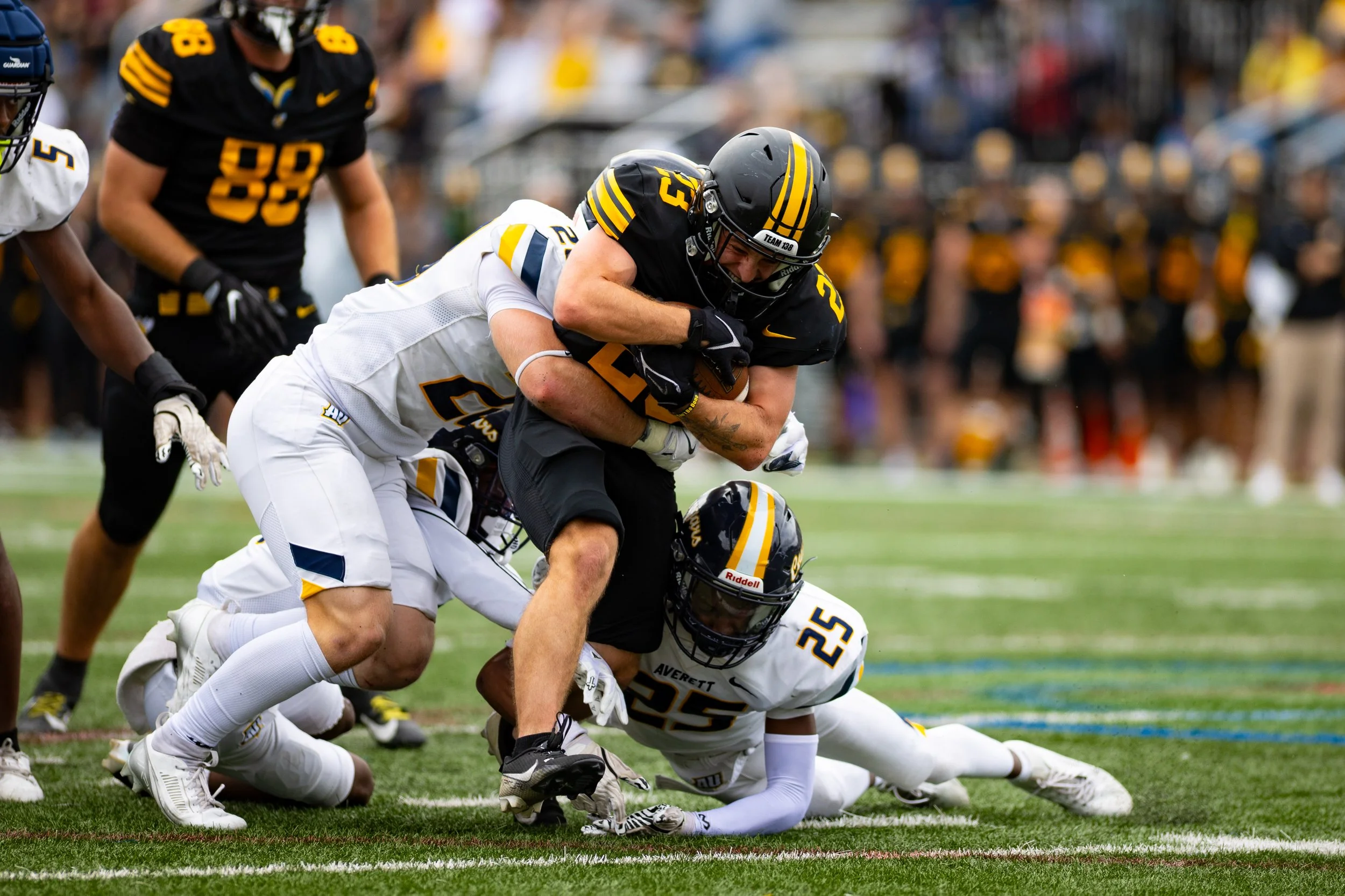 20251011 - Reflected Visions - 063.jpg