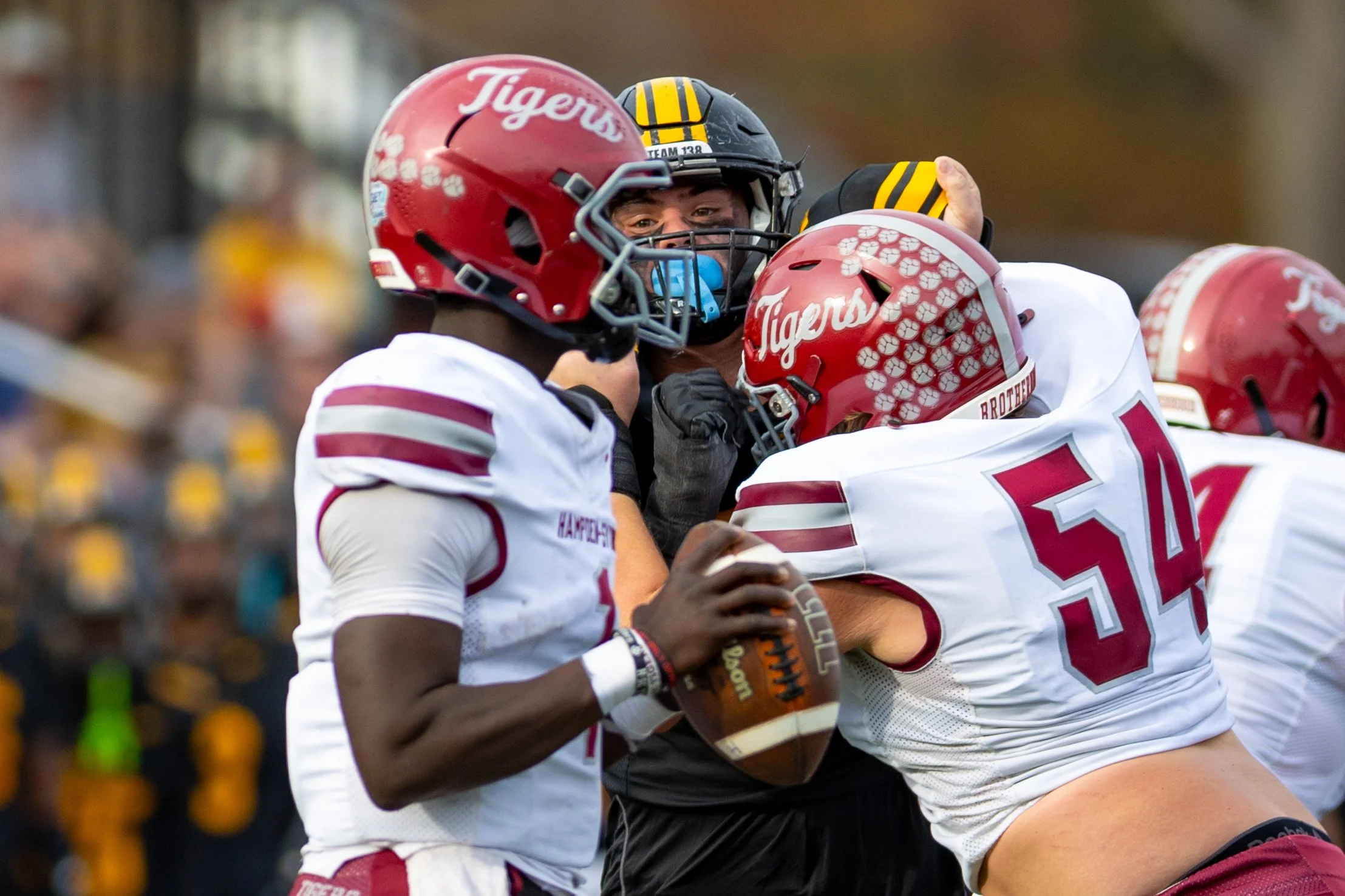 20251115 - Reflected Visions - 046.jpg