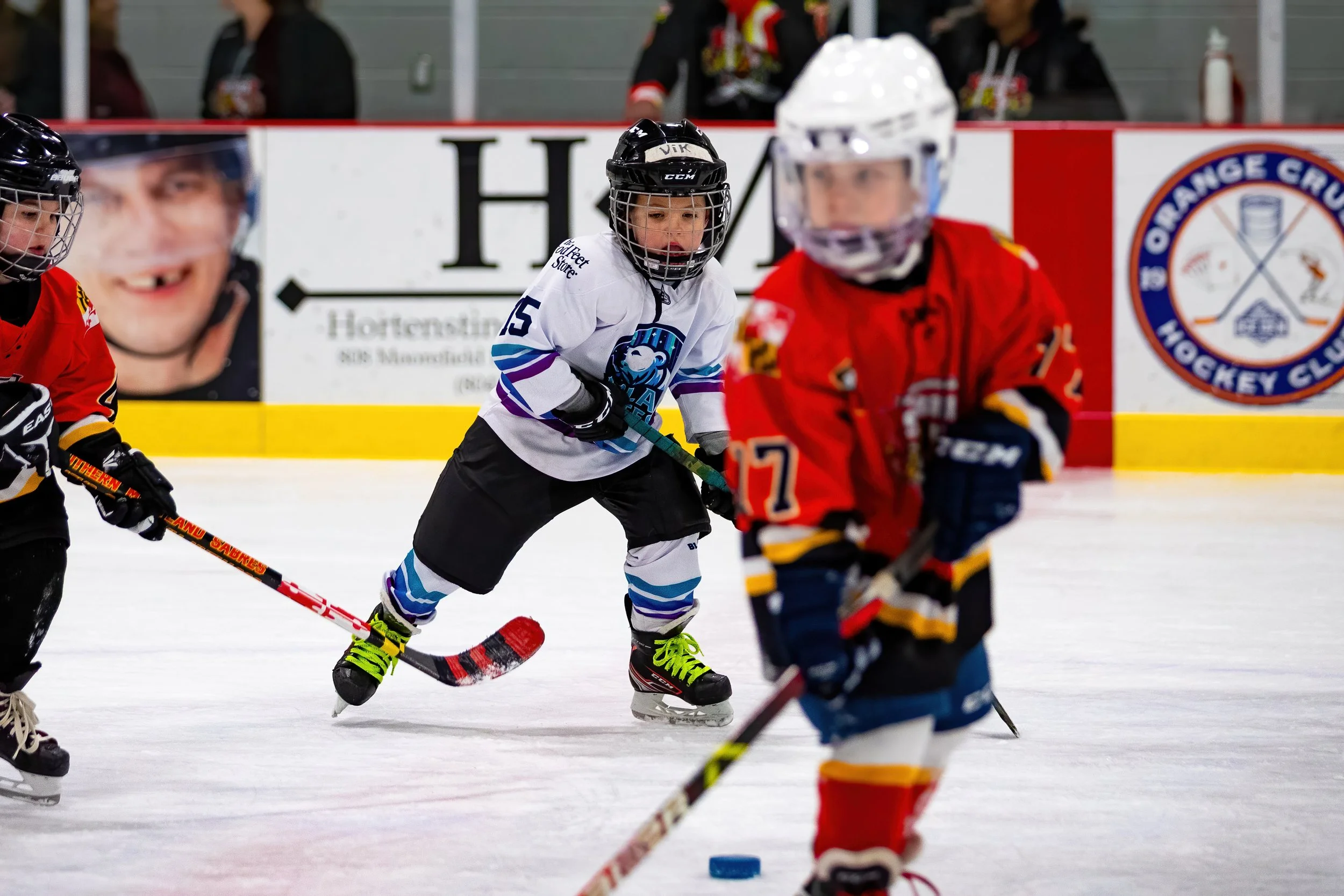 20250209 - Reflected Visions - 116.jpg