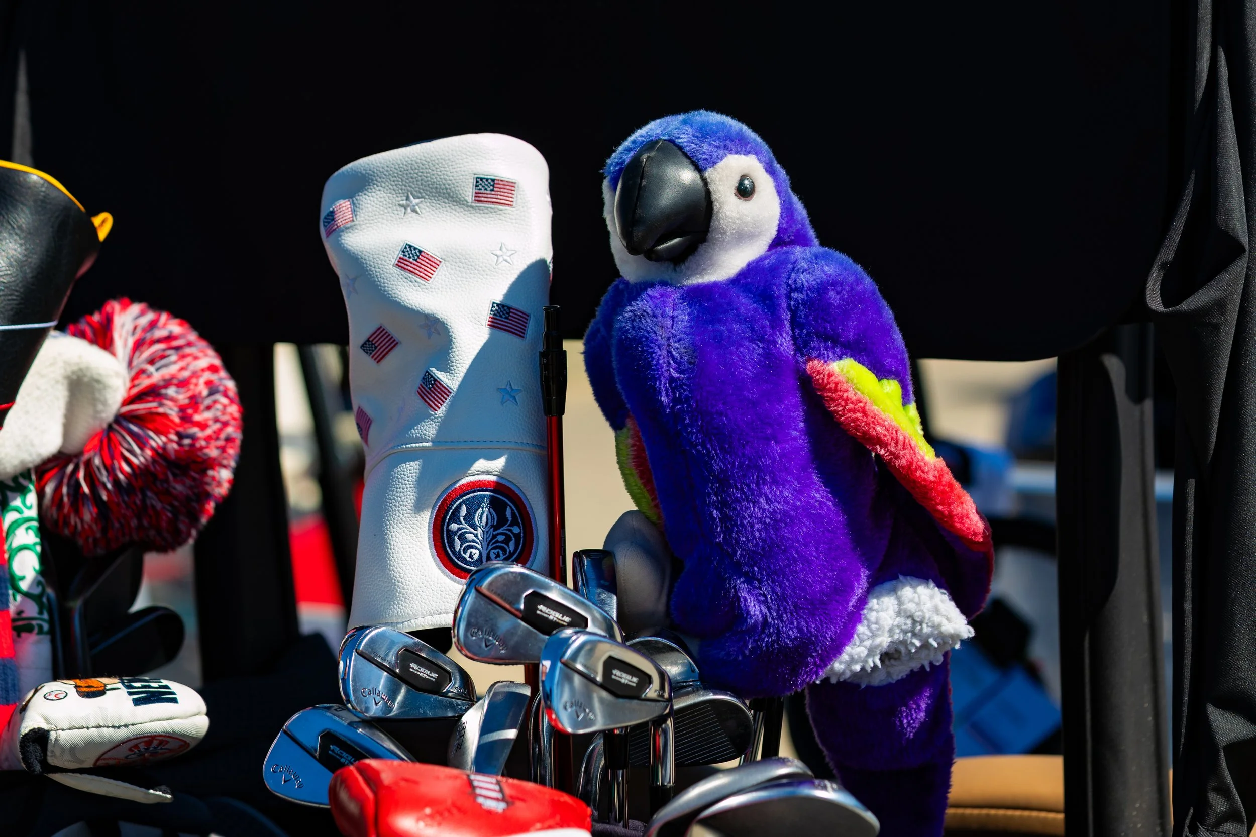 20260320 - Reflected Visions - 044.jpg