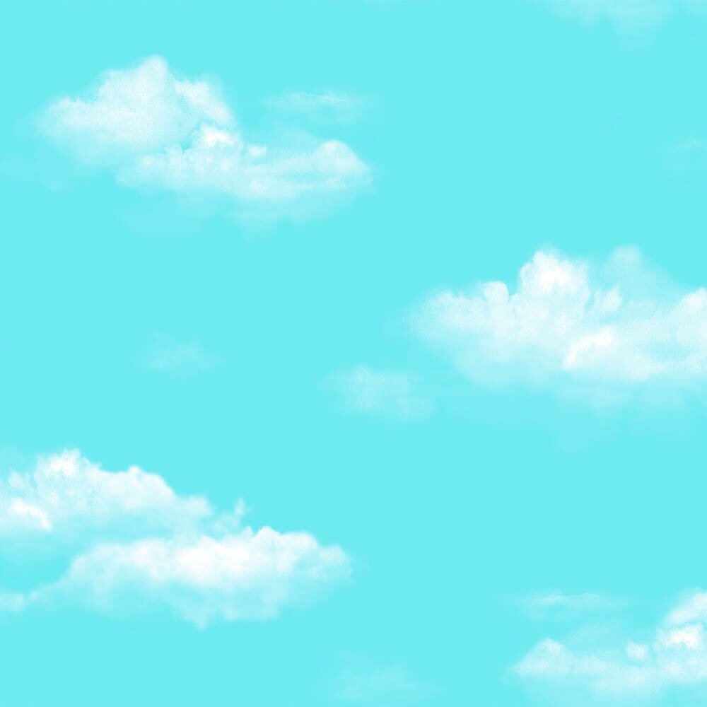 https://i.etsystatic.com/45555253/r/il/7fed93/5199573537/il_fullxfull.5199573537_6txr.jpg