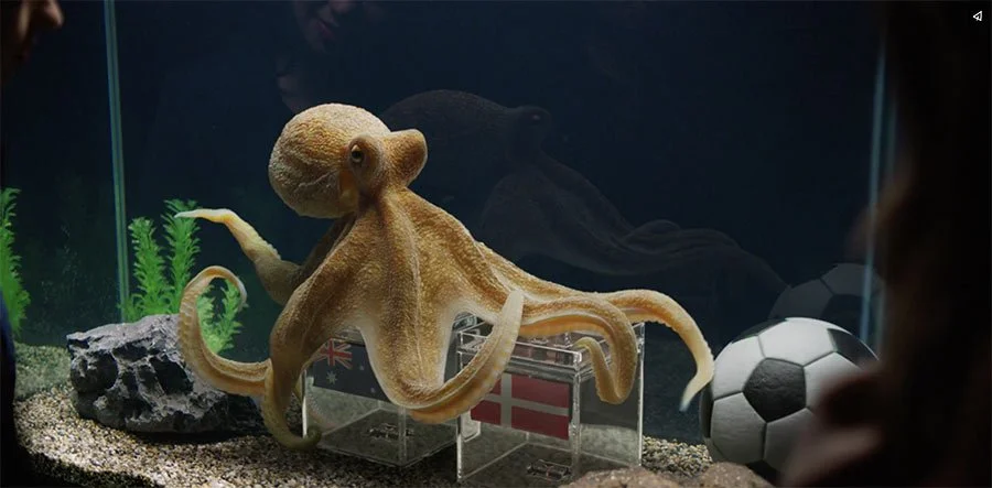 Sportsbet | "Octopus"