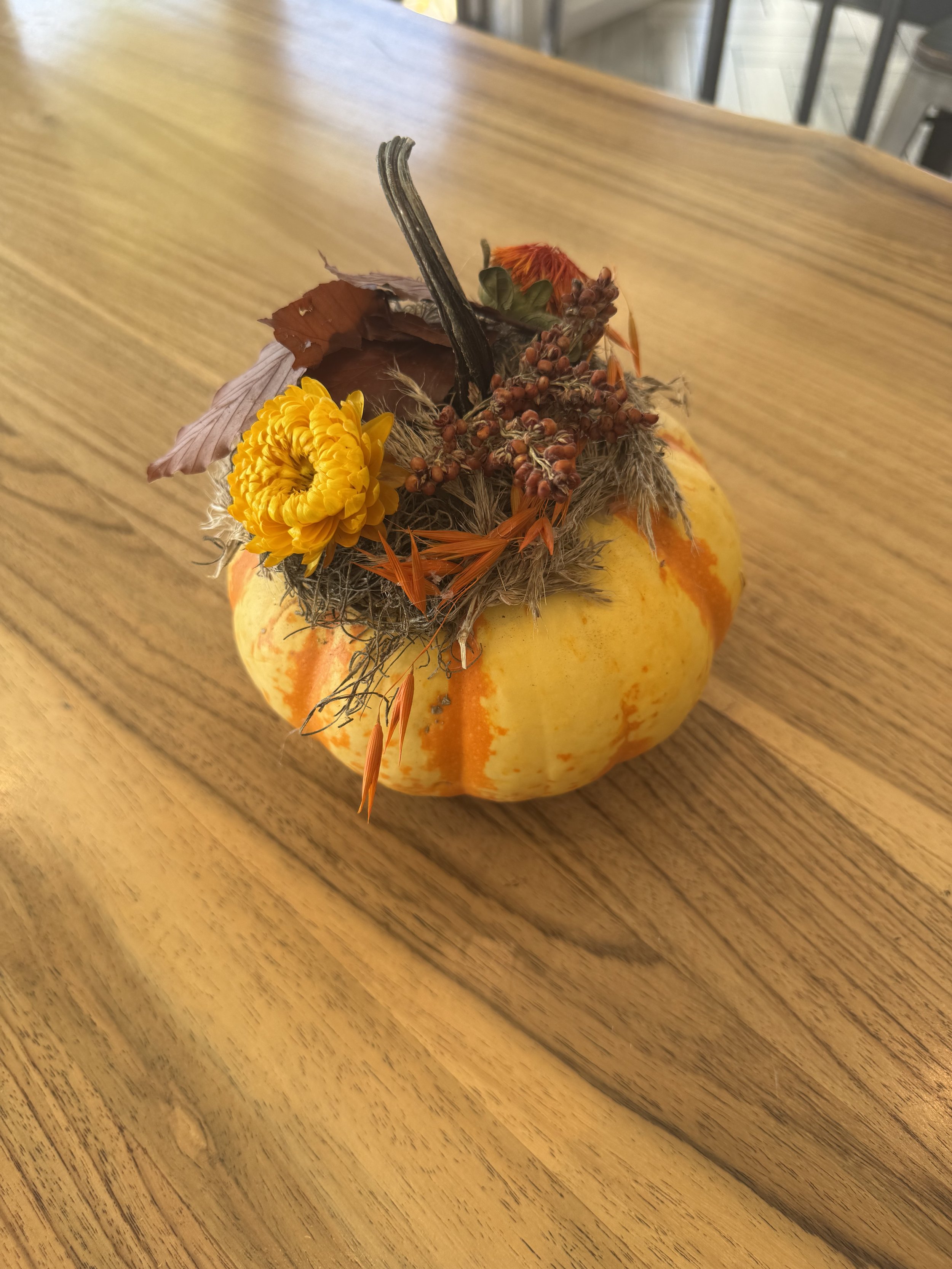 IMG_6161.jpeg (Copy)