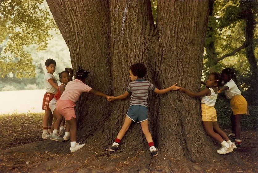 A group of children holding hands and circled around a large tree in the Awbury Arboretum