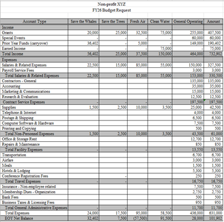Screenshot of c3 by Design's Annual Budget Plan template