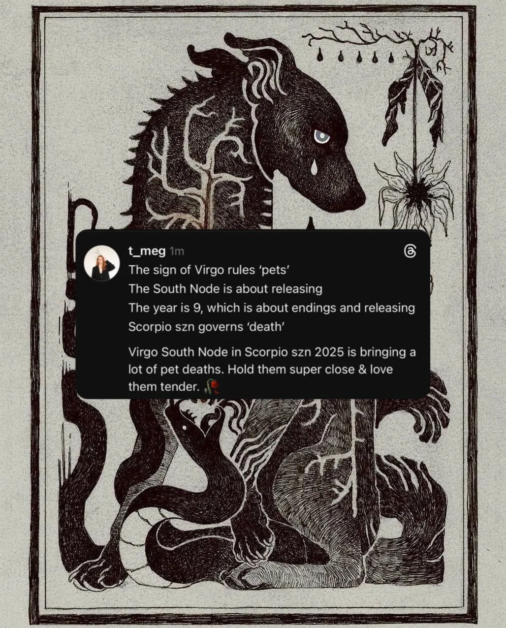 my condolences go out to everyone dealing with a pet loss. losing our companions that truly teach us unconditional love is beyond words. the human experience is a grueling one.

please be kind to each other &amp; remember that the only way we get thr