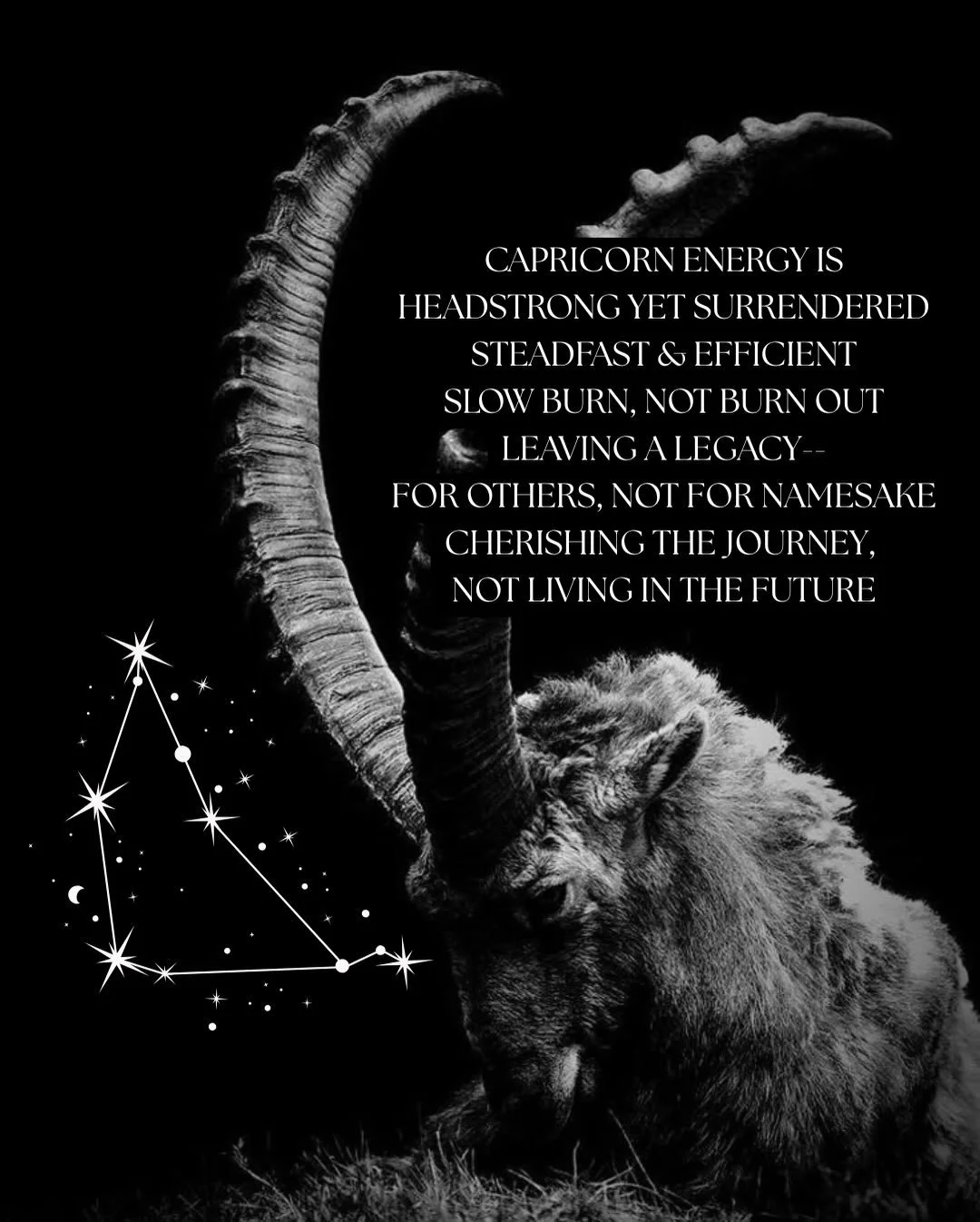 Capricorn szn is here - so are these cvnty creations

🐐🖼️ 

Cosmic Cvnties weekly astrology is also out today! Get your energy forecast for this week before it gets you. 

#capricornseason #astrologymemes #astrologyenergy