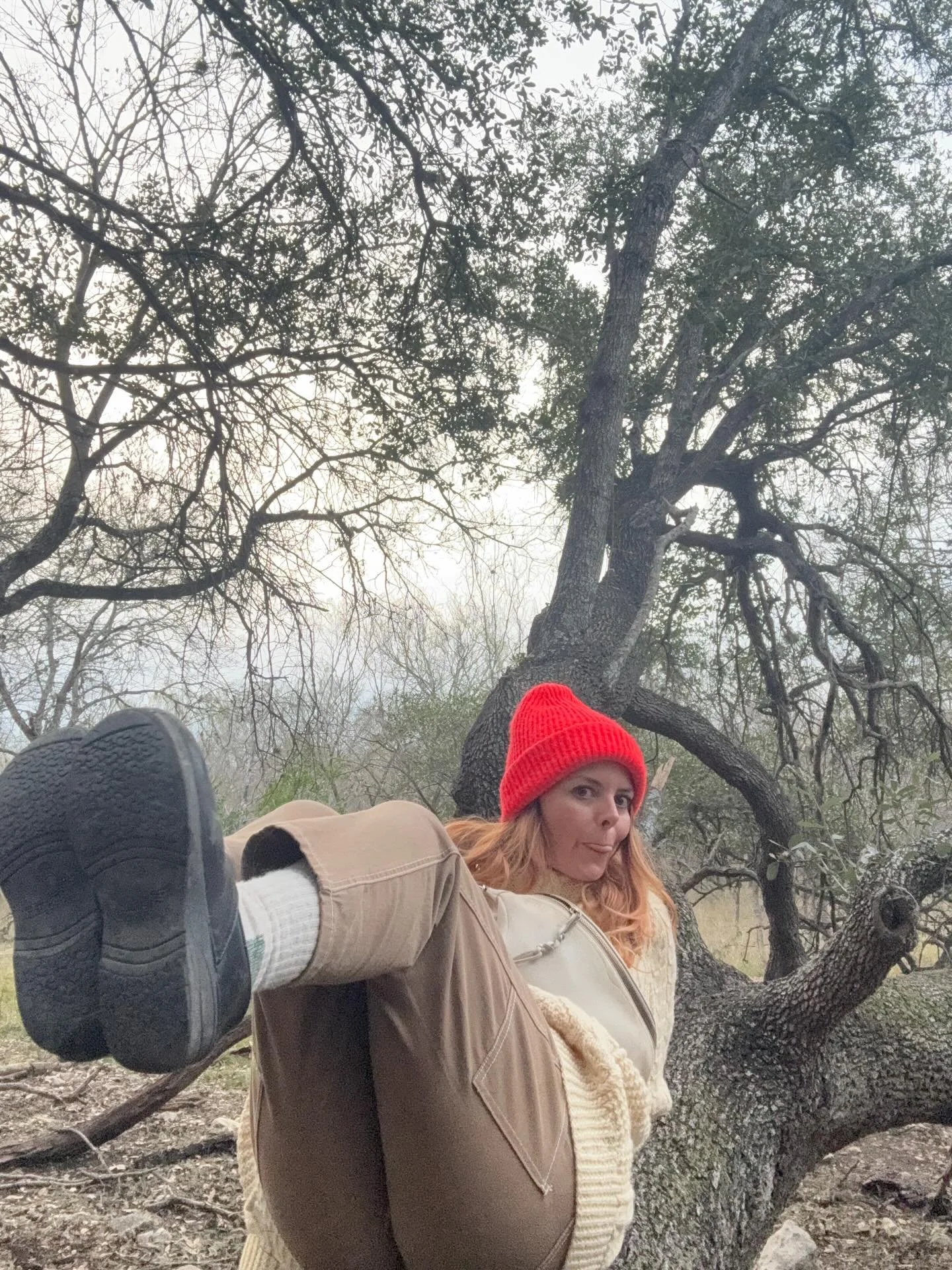 a series titled &lsquo;you&rsquo;re pooping on your leash&rsquo;