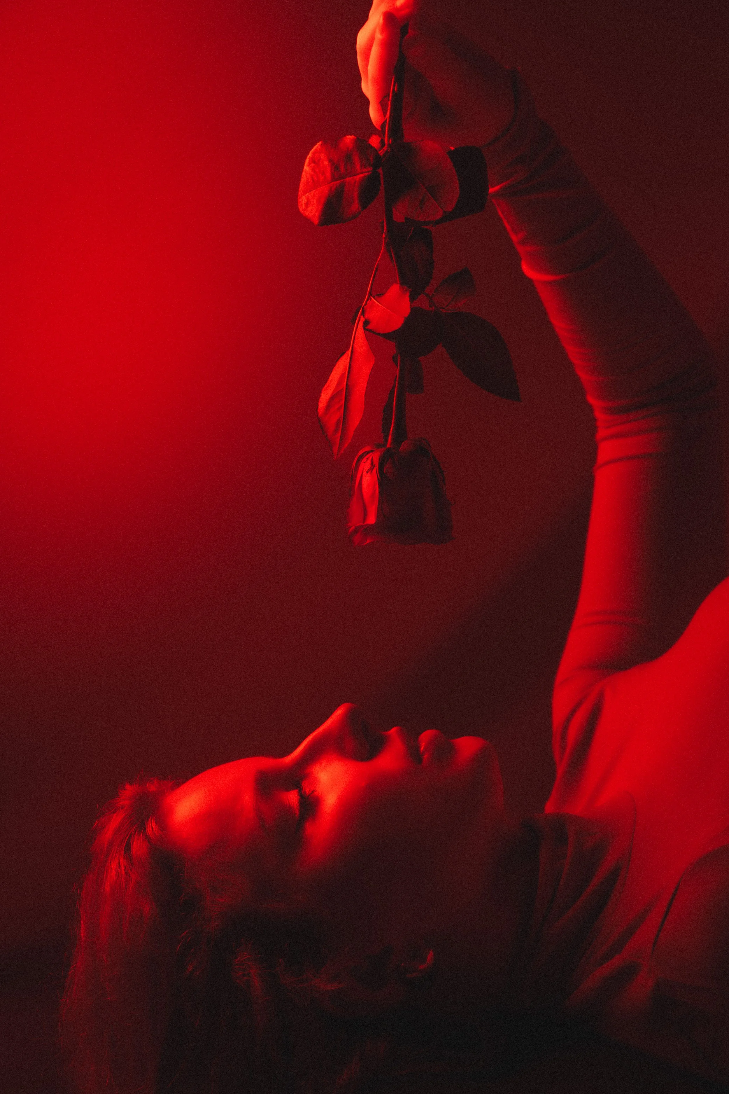 A person lying on their back with their head turned to the side, holding a single rose with leaves in their mouth, illuminated by red lighting.