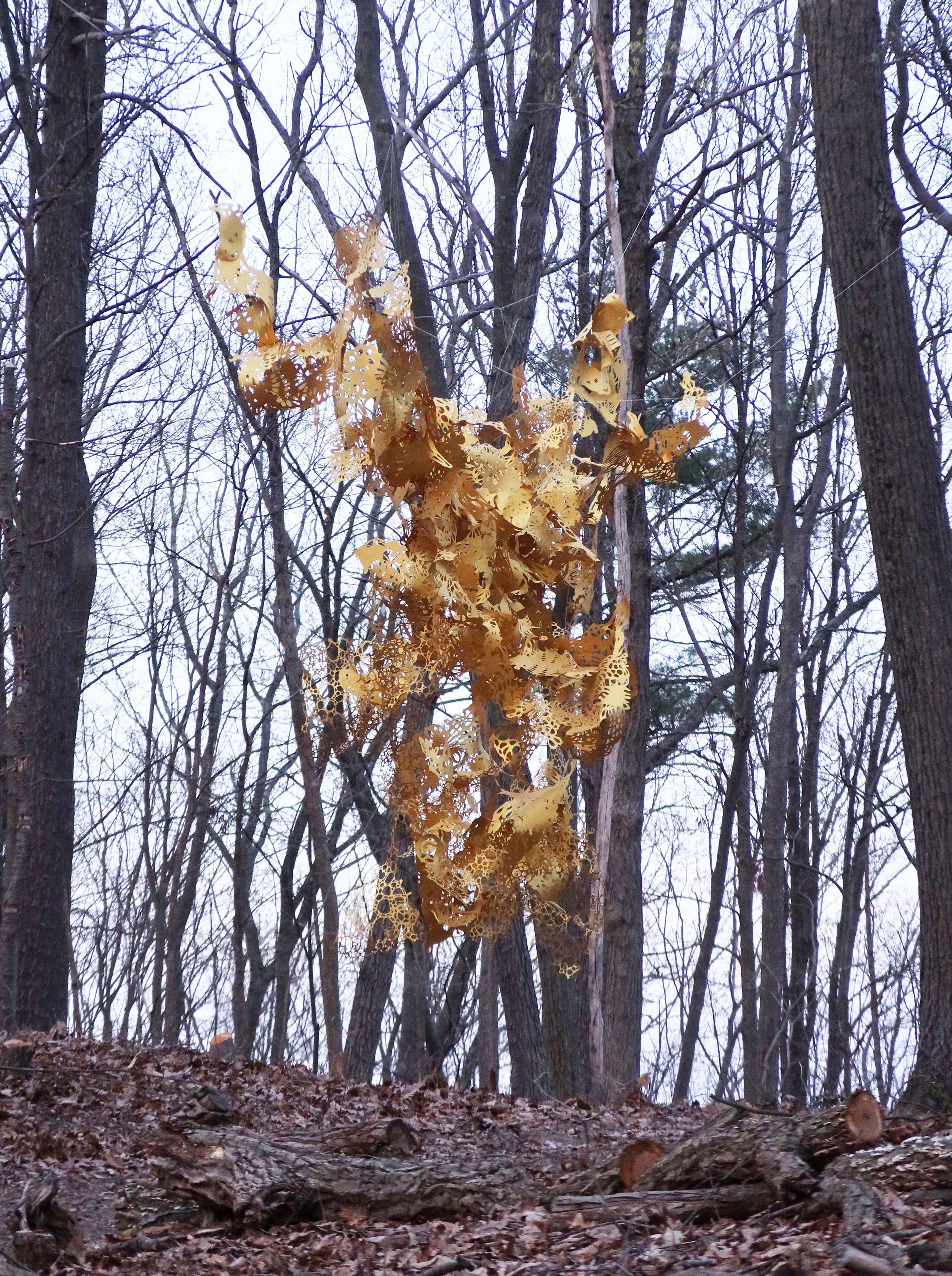 Liang_F Image10.jpeg