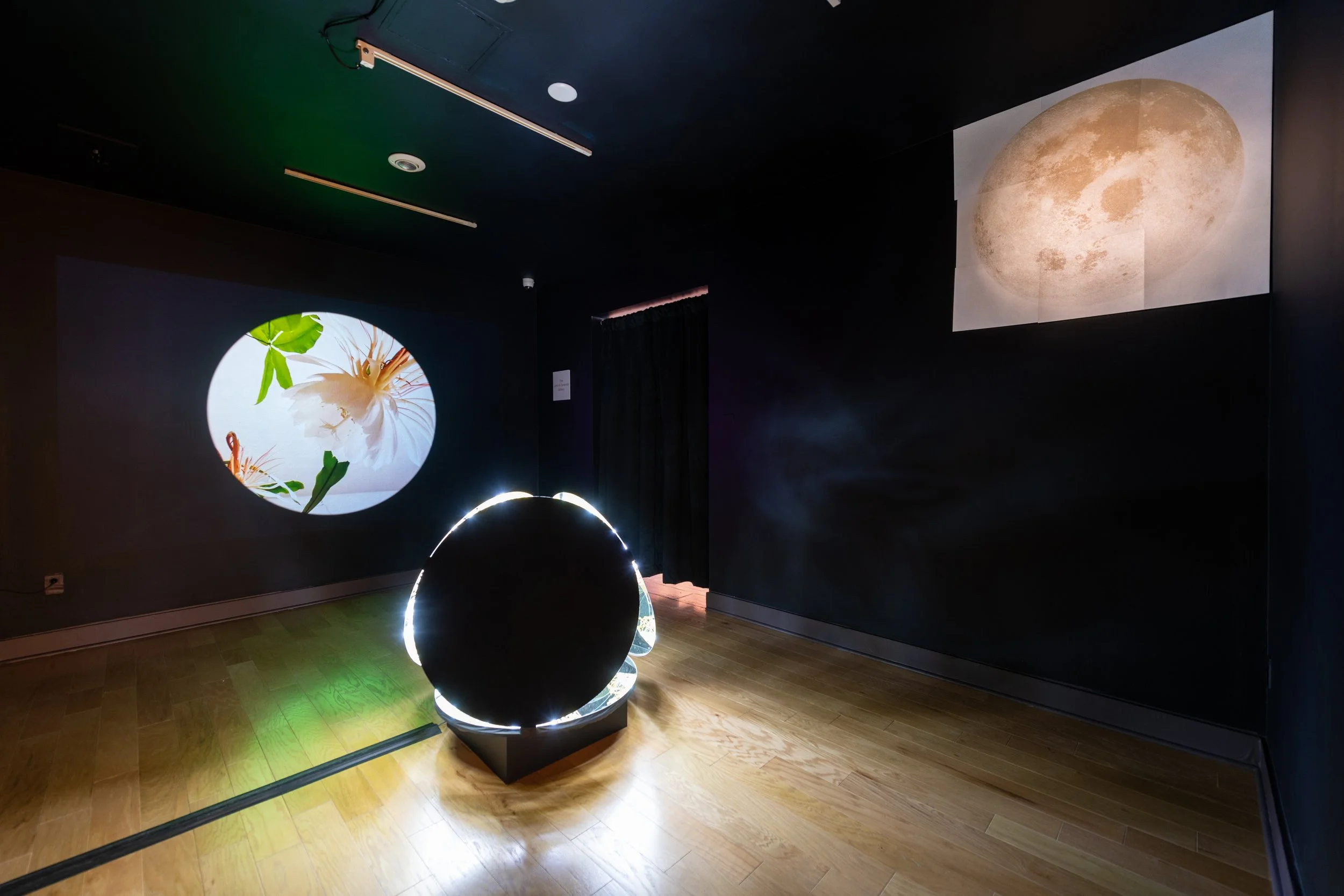 Copy of CStern_FAM_Paper_Town_1003143.jpeg