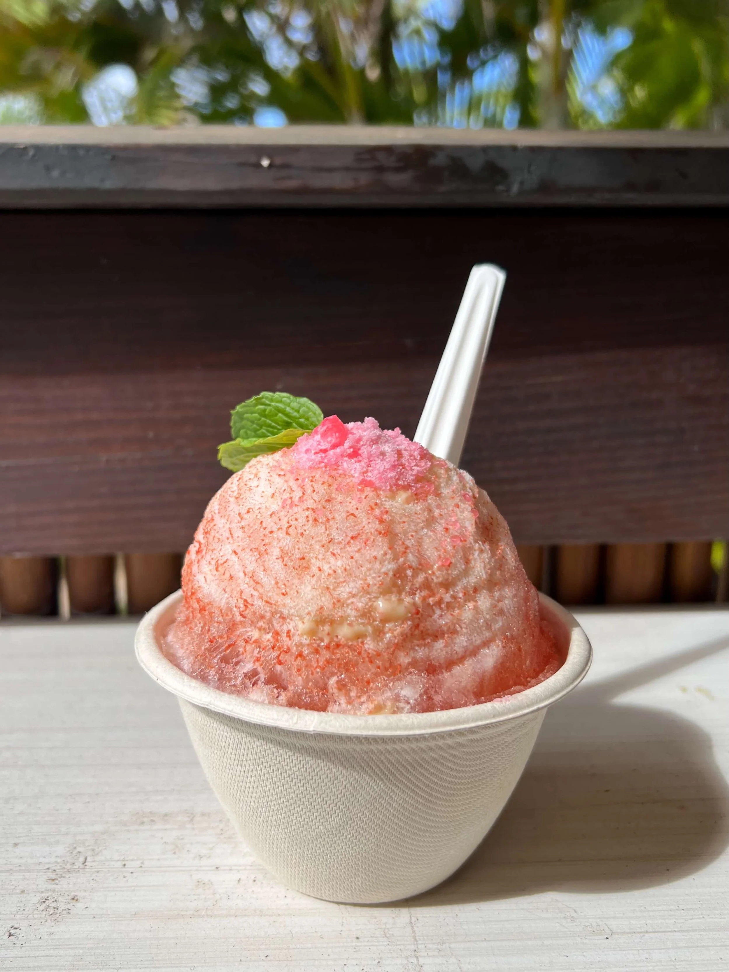 Classic Watermelon Shave Ice