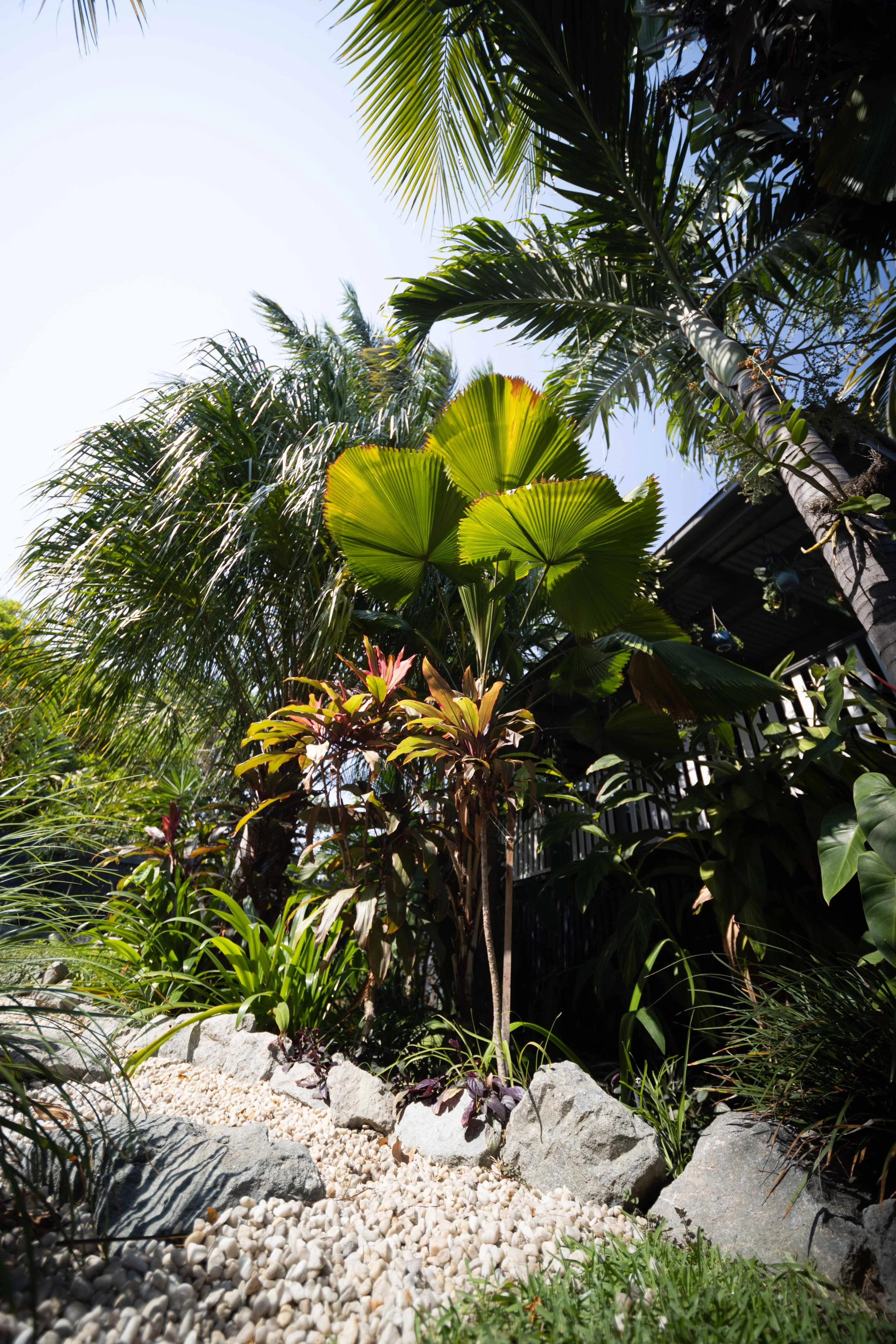 Jacks Place Jimmmy-0815.jpg