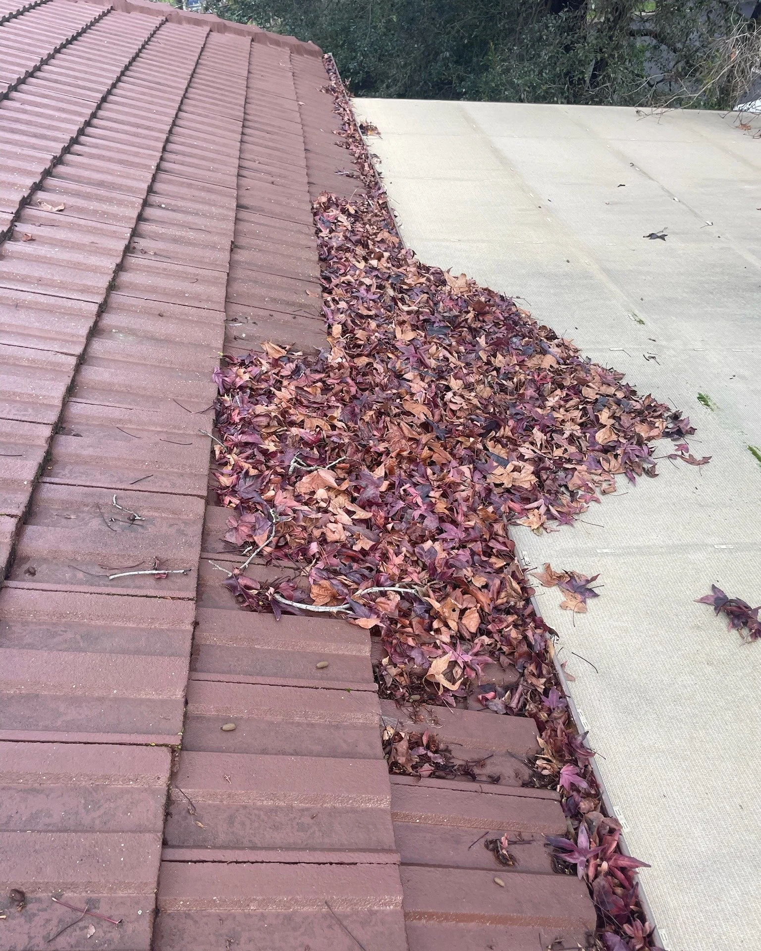 Wow - I couldn&rsquo;t even see the gutters when I first got up on this roof! What an incredible before and after!!!

This amount of leaves and sediment was definitely blocking their gutters and drainage and I'm so glad we got it sorted before the ra