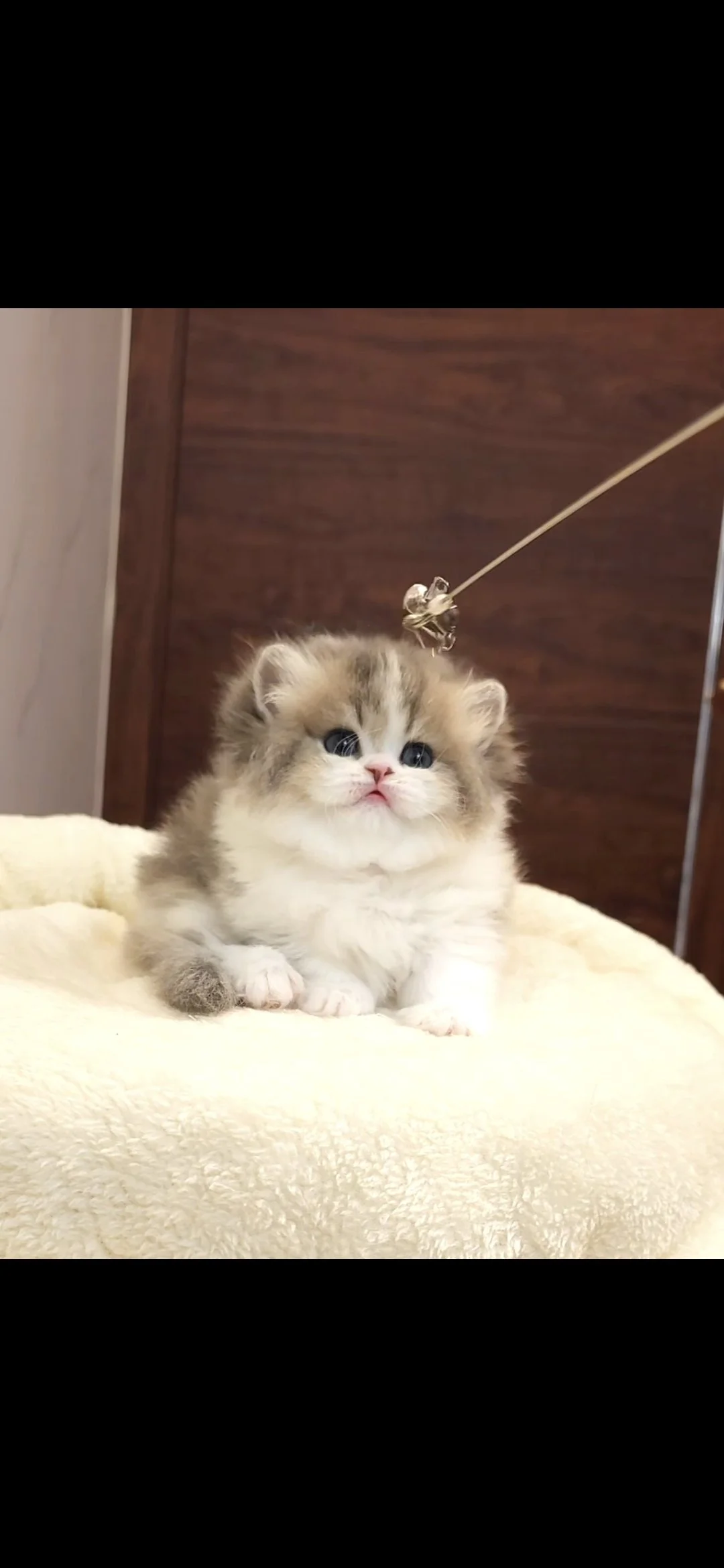 Screenshot_20251115_075656_Gallery.jpg